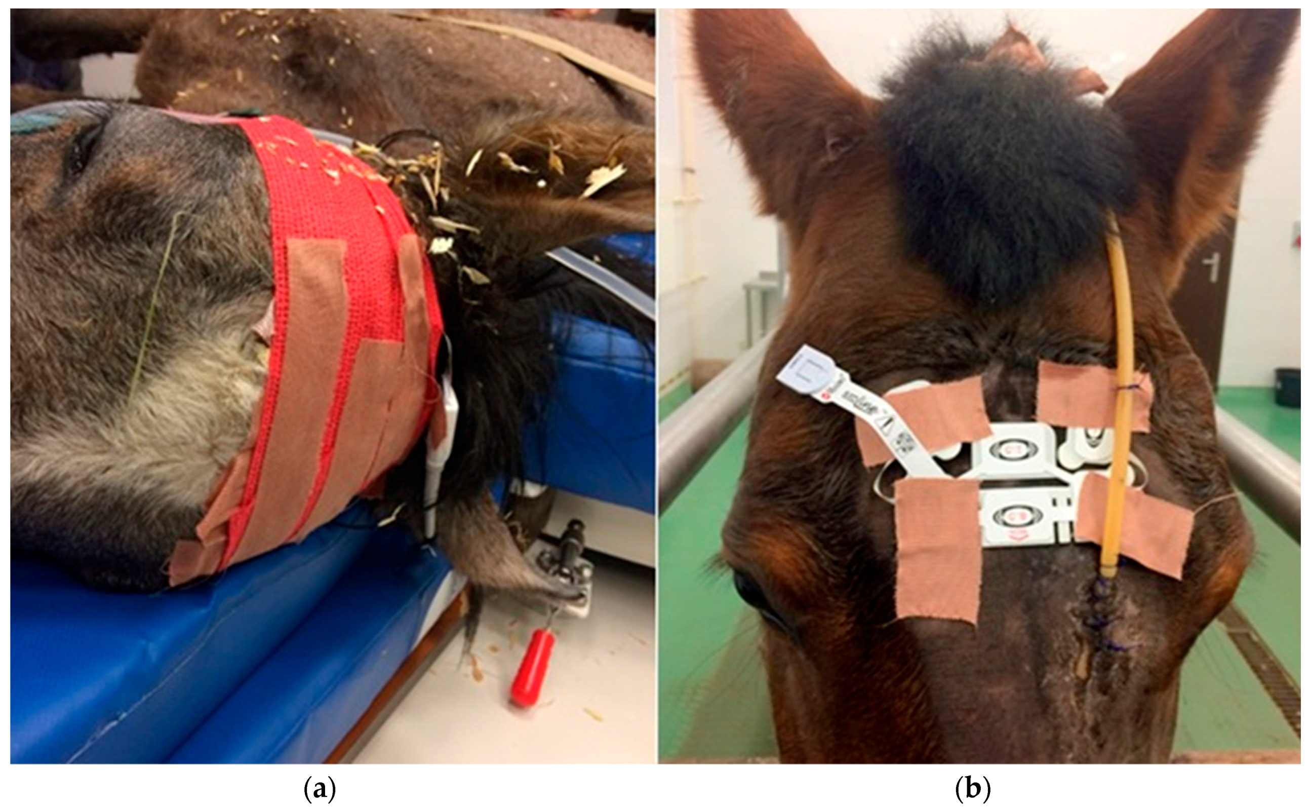 Applsci 09 03678 g001 Applsci 09 03678 g001