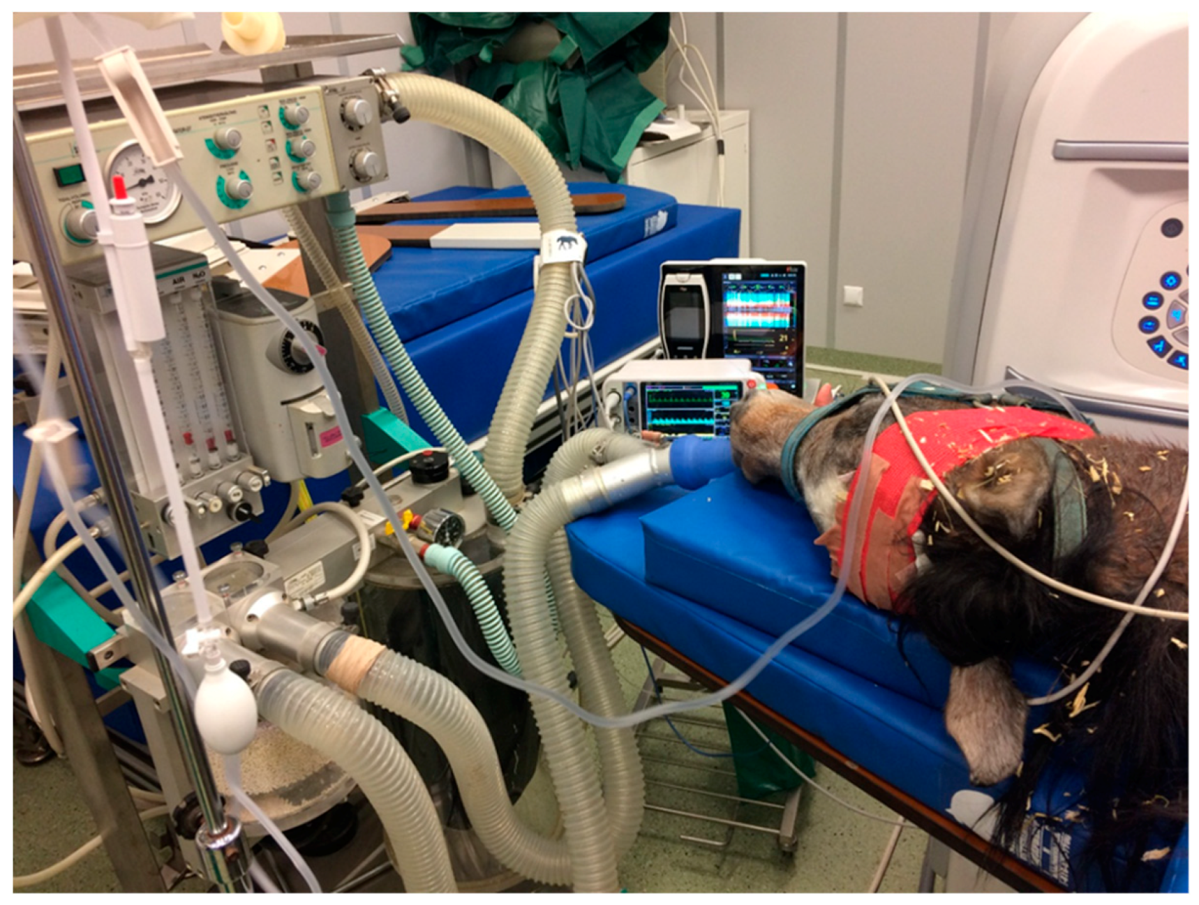 Applsci 09 03678 g003 Applsci 09 03678 g003