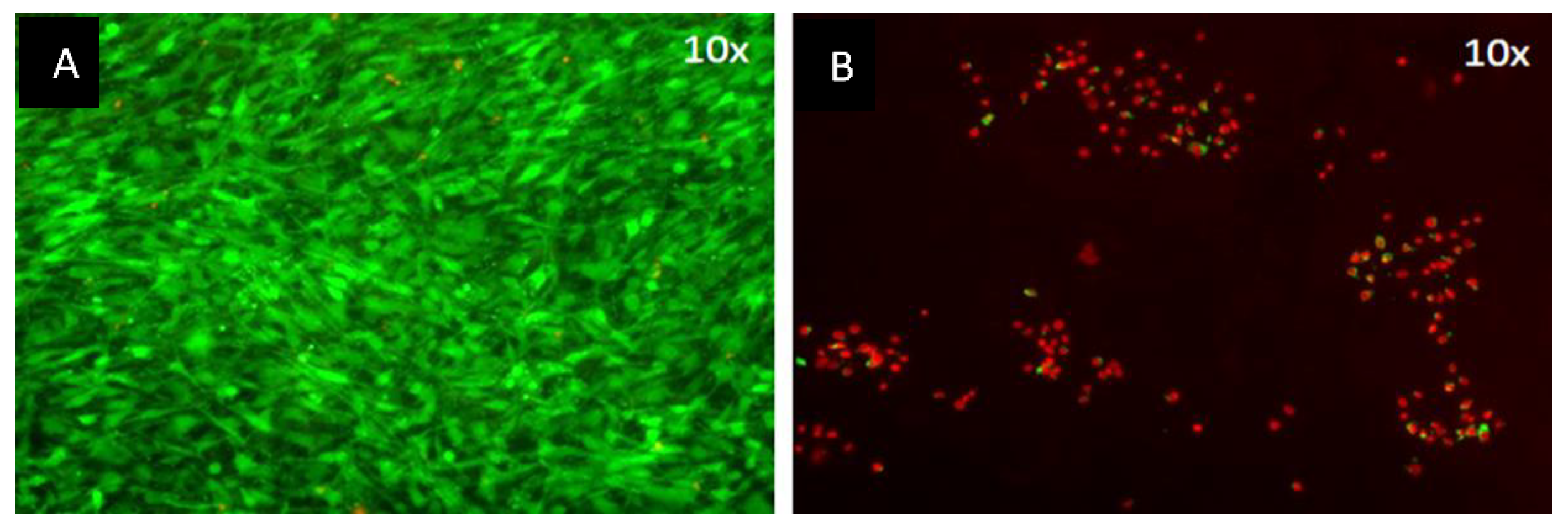 Applsci 09 03682 g002