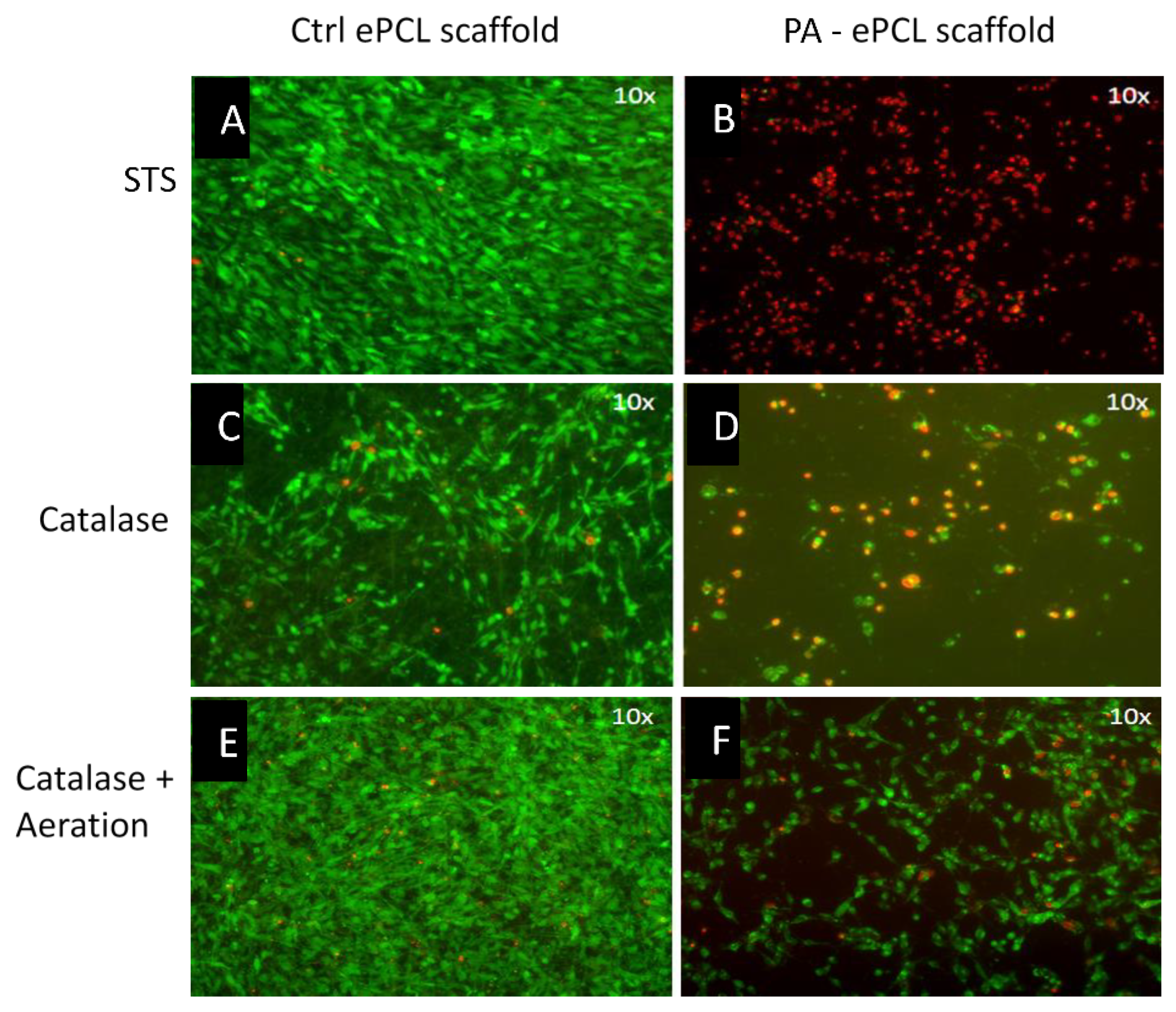 Applsci 09 03682 g004