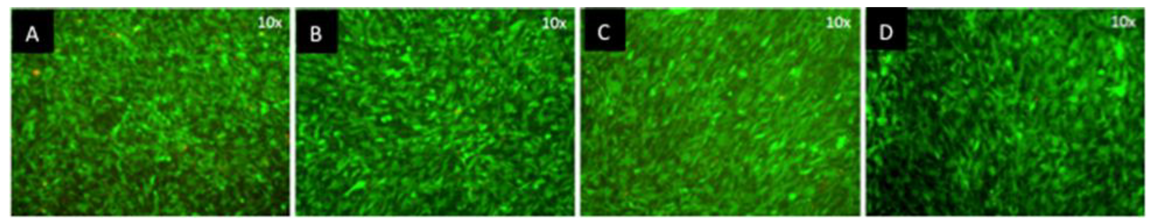 Applsci 09 03682 g005