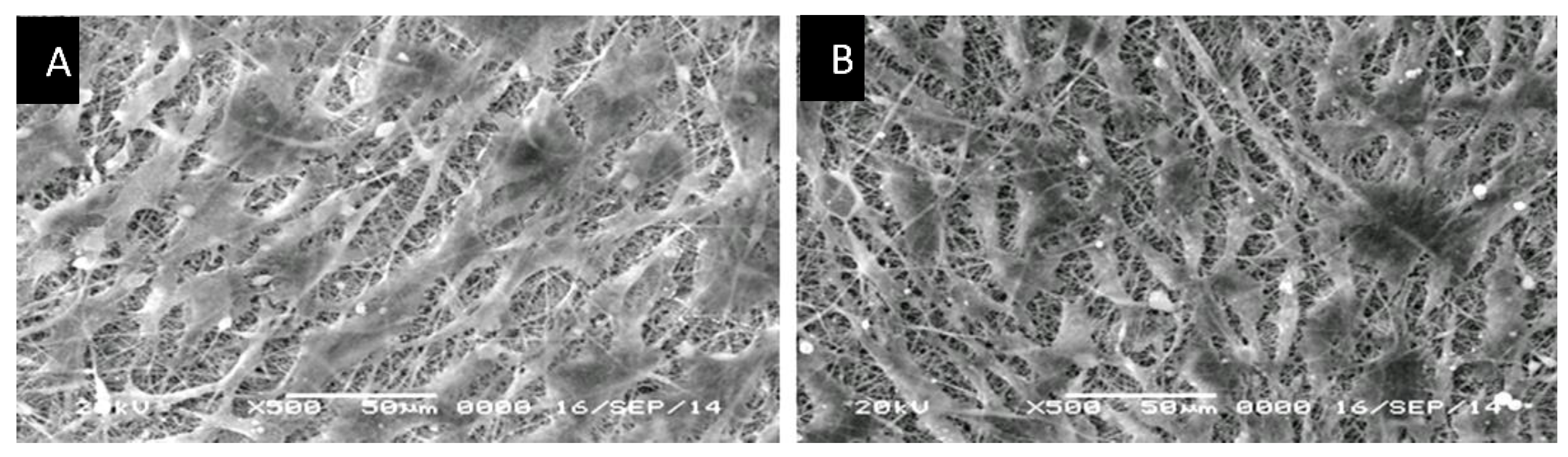 Applsci 09 03682 g006