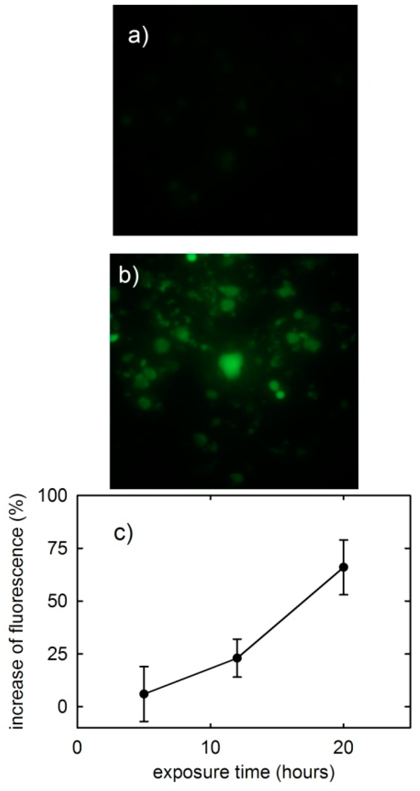 Applsci 09 03700 g005
