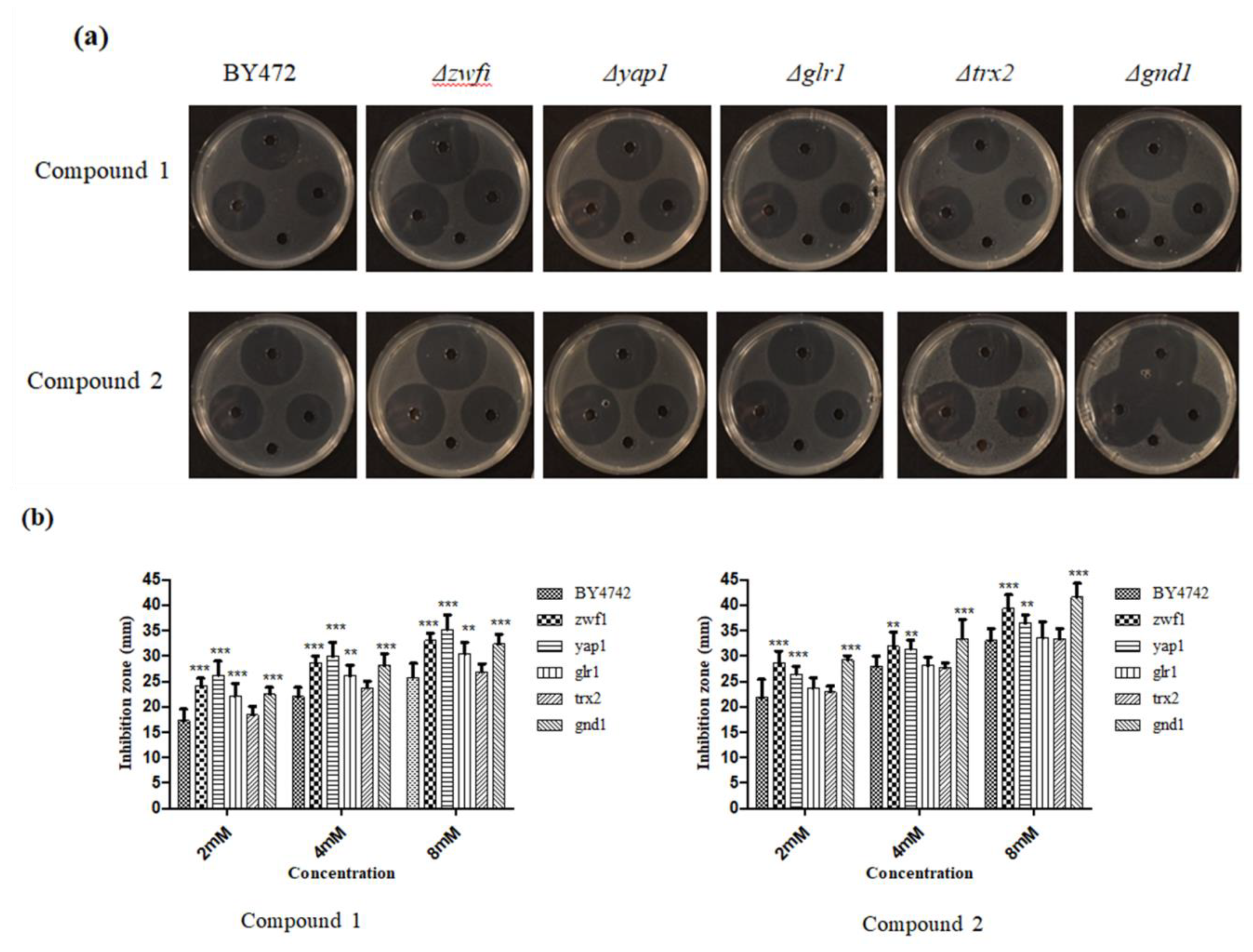 Applsci 09 03728 g006