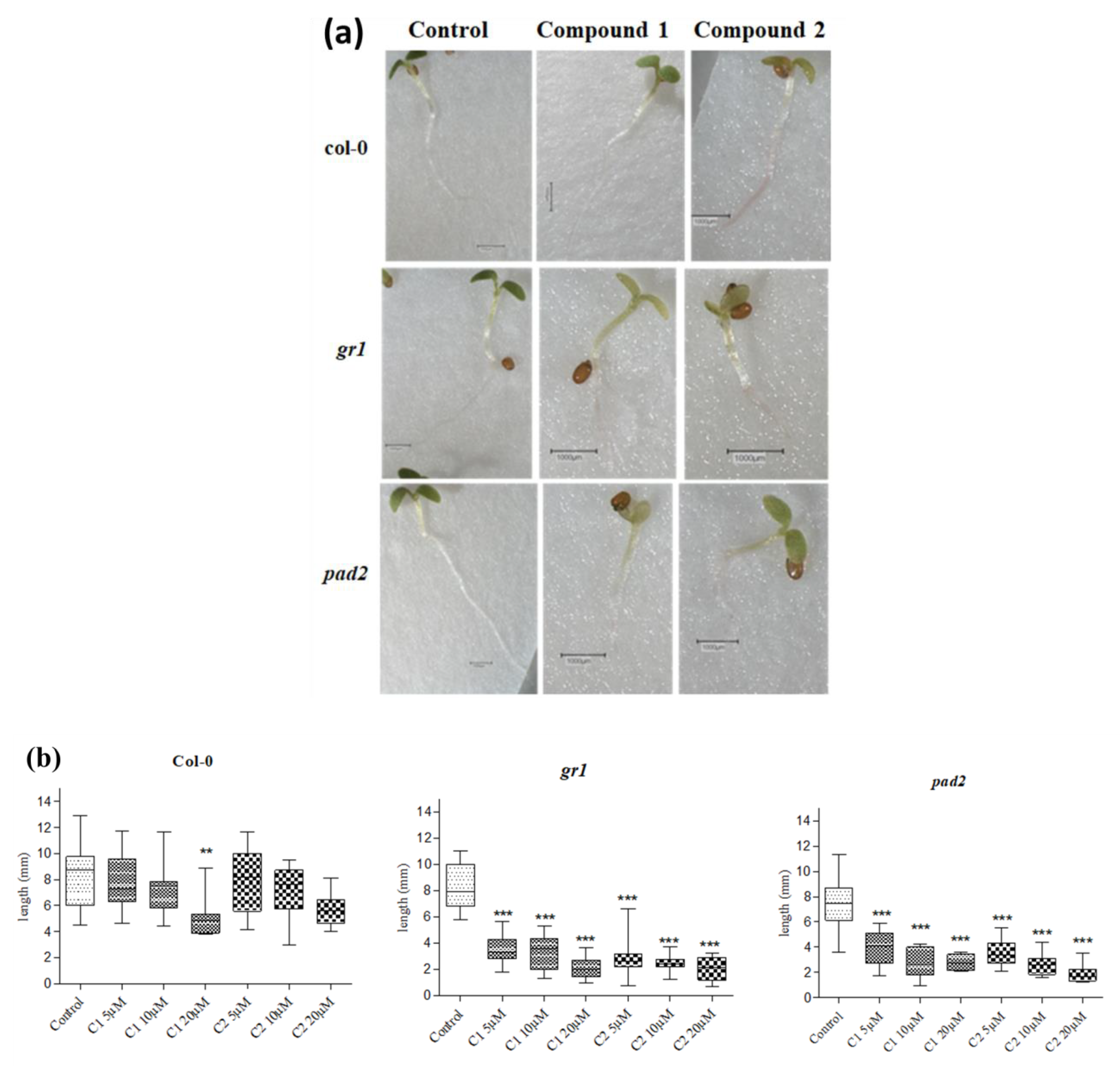 Applsci 09 03728 g008