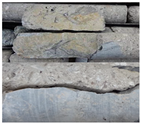 Applsci 09 03767 i003 Applsci 09 03767 i003