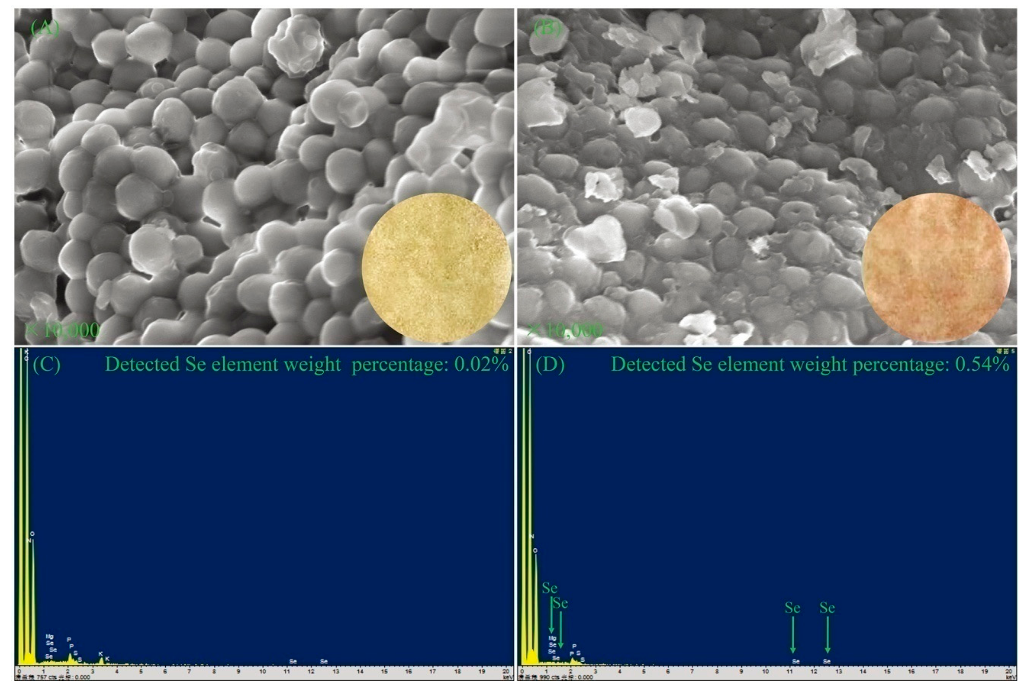 Applsci 09 03777 g003