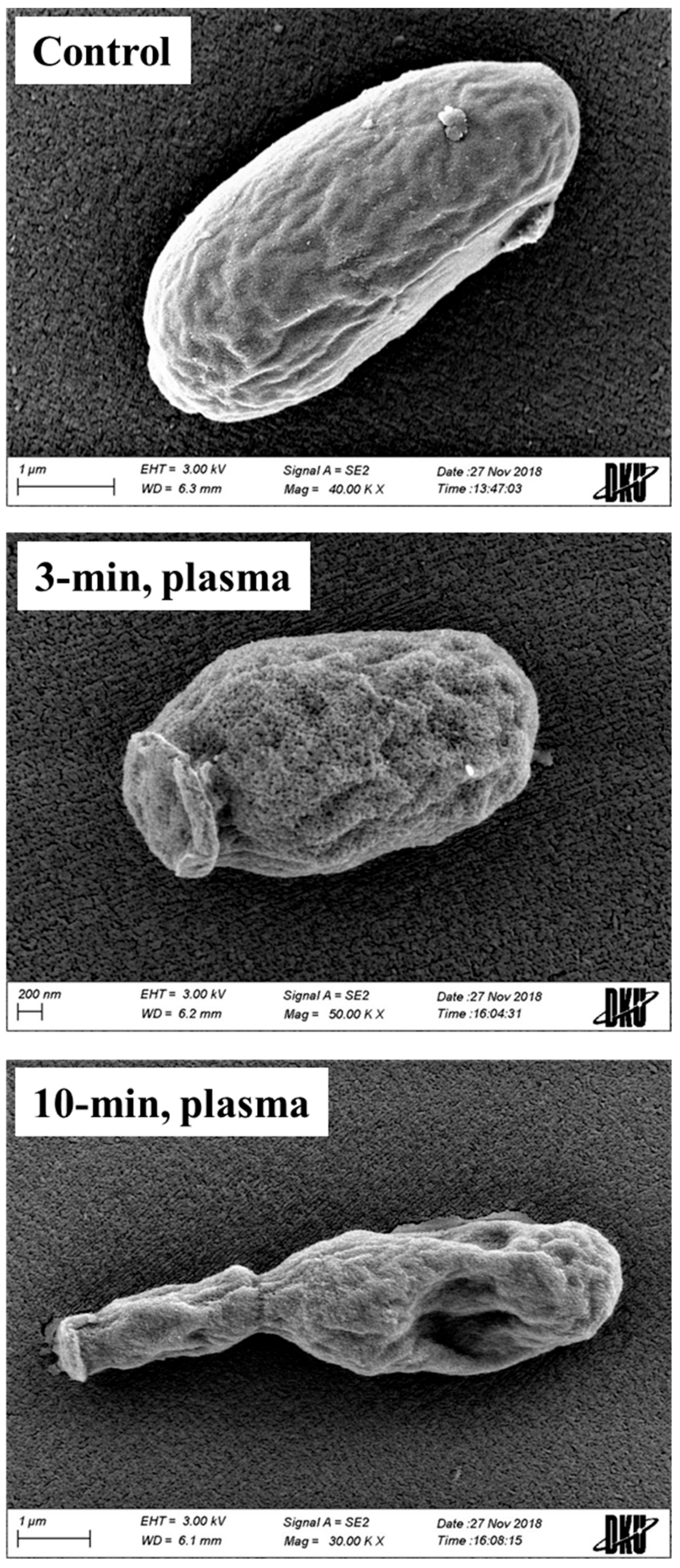 Applsci 09 03921 g005