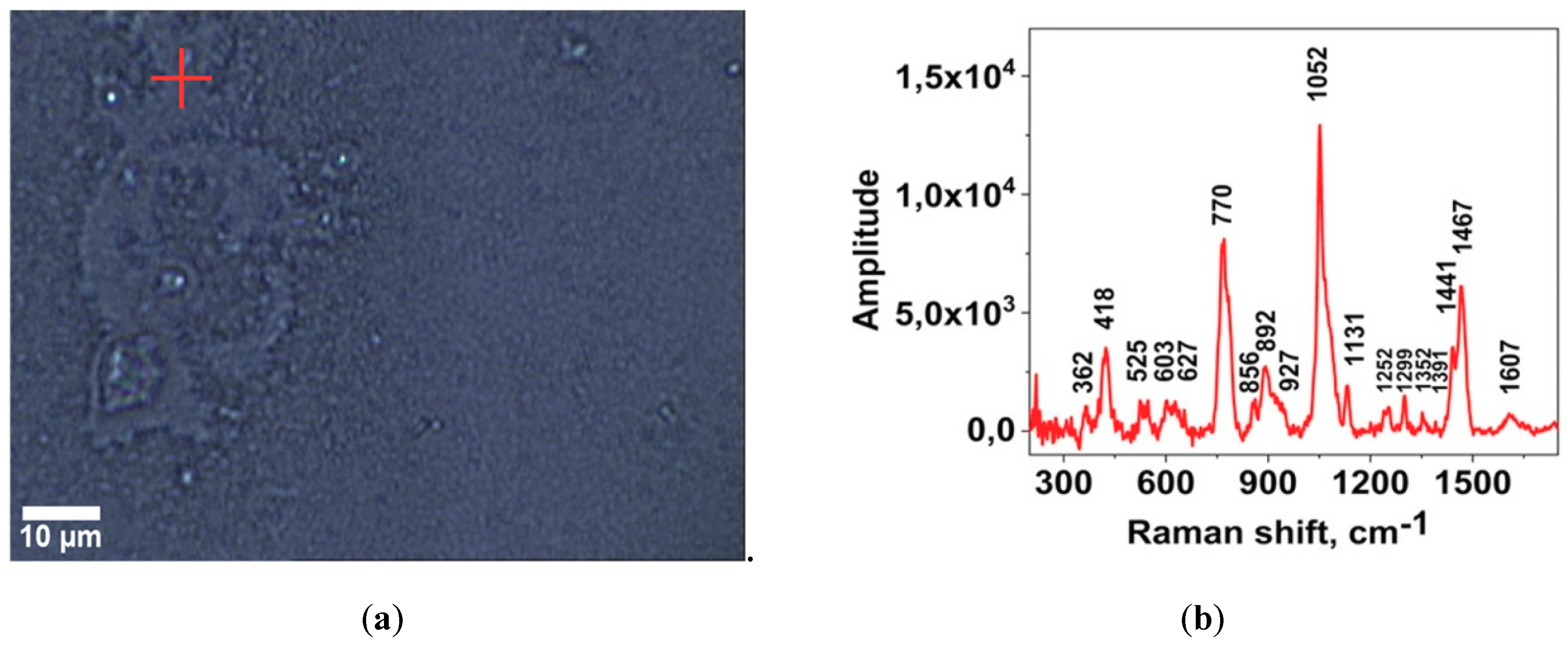 Applsci 09 03988 g003