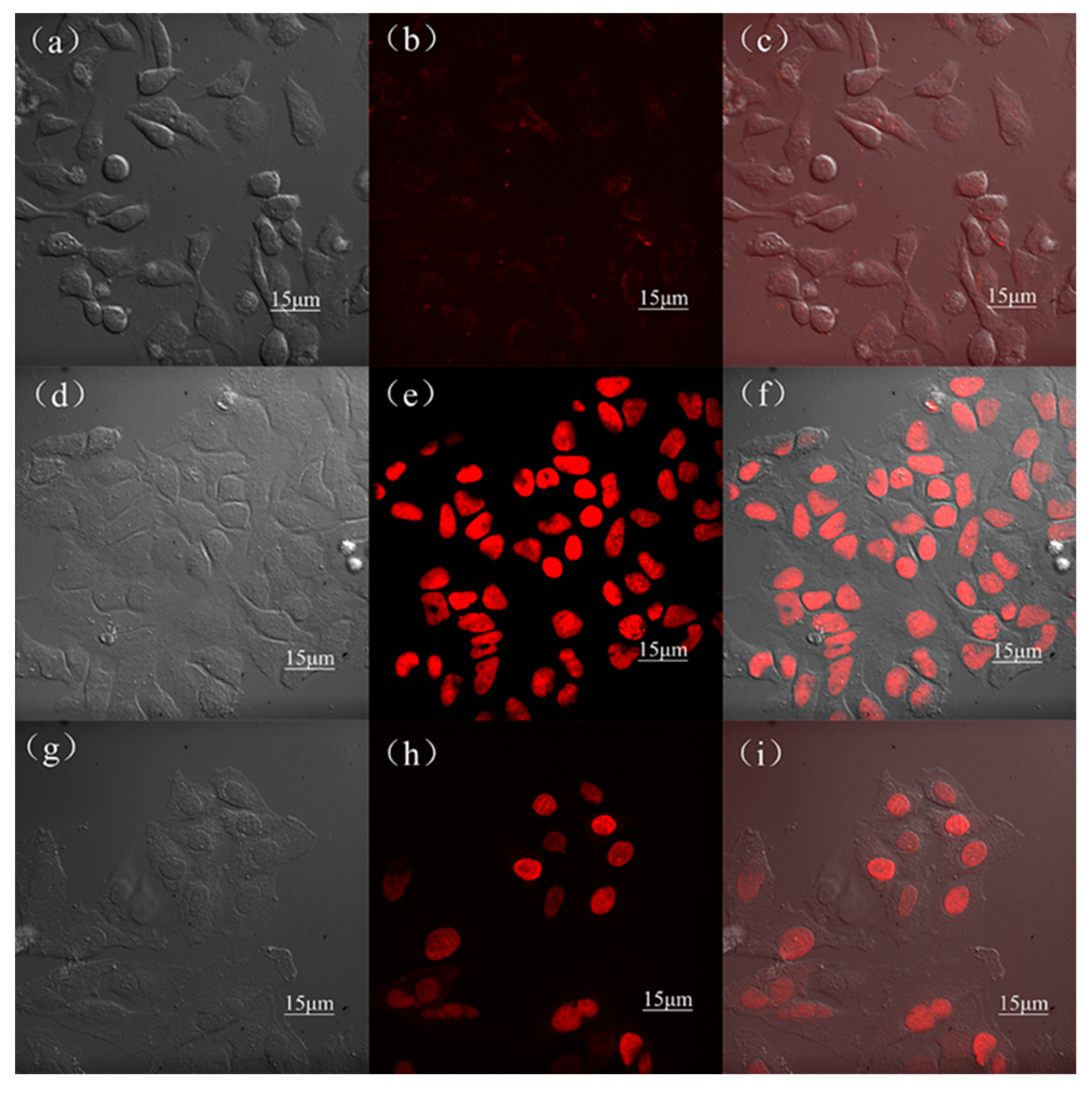 Applsci 09 03990 g002