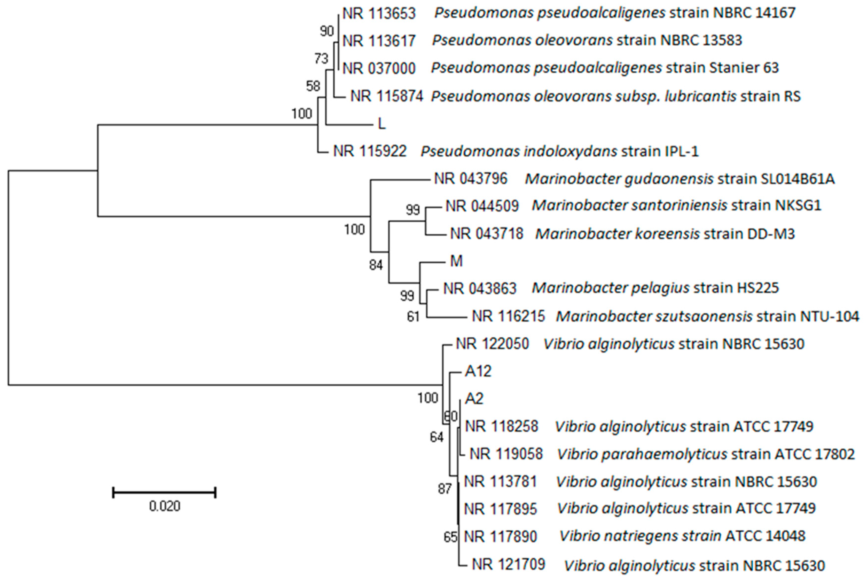 Applsci 09 04000 g005