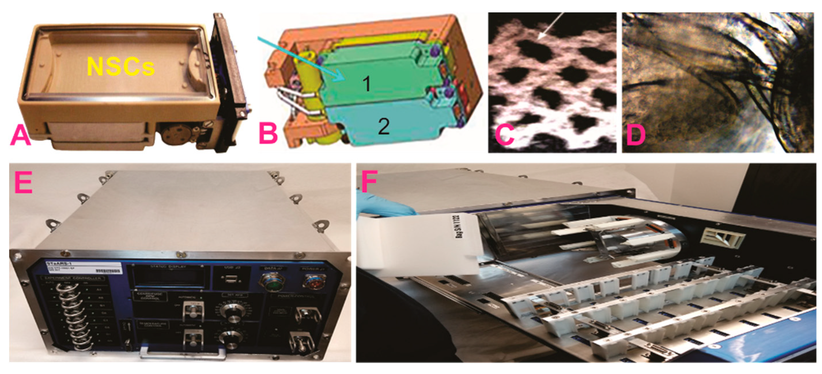 Applsci 09 04042 g001