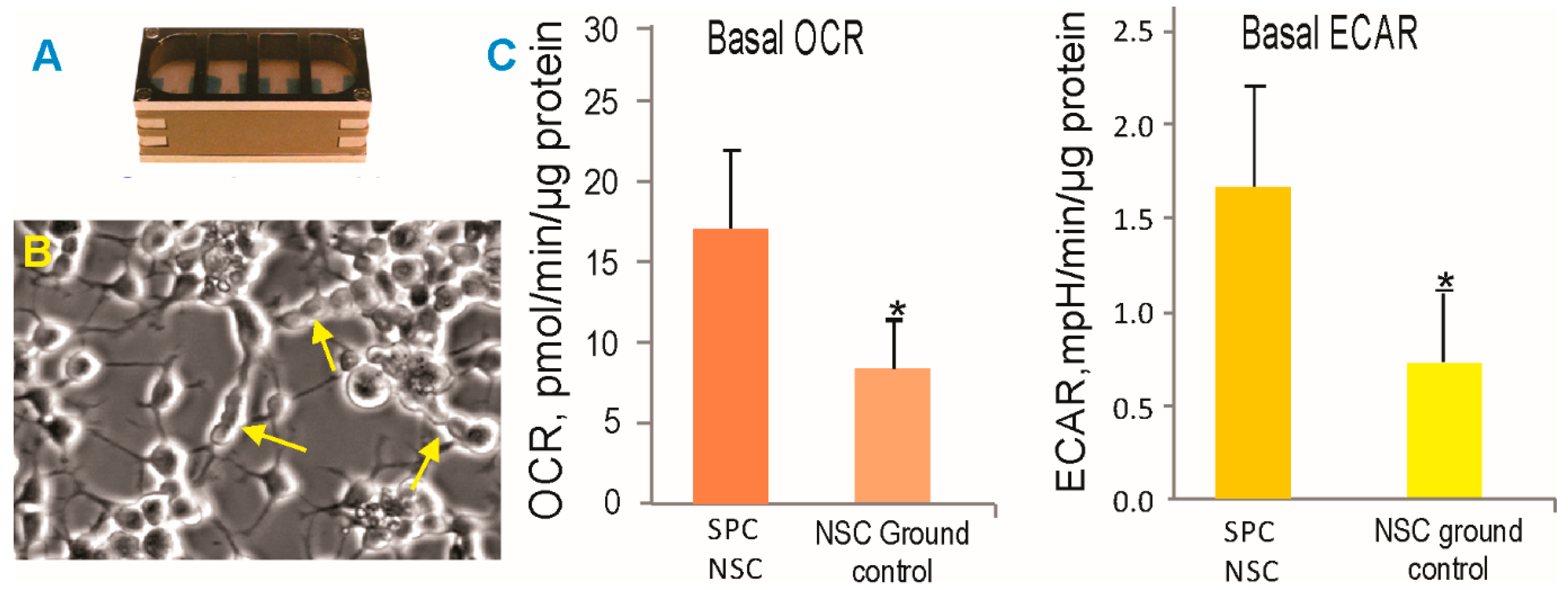 Applsci 09 04042 g003