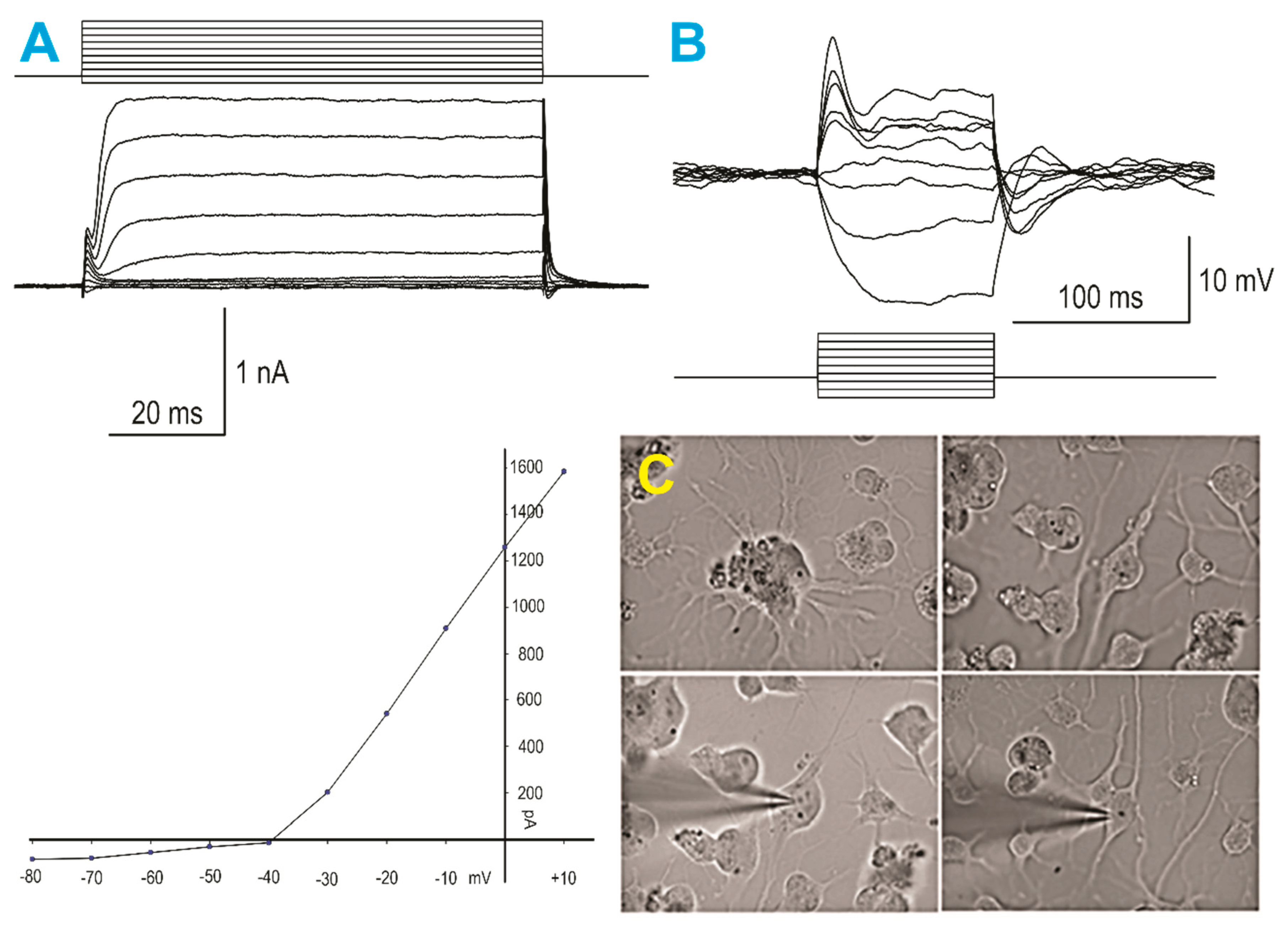 Applsci 09 04042 g004