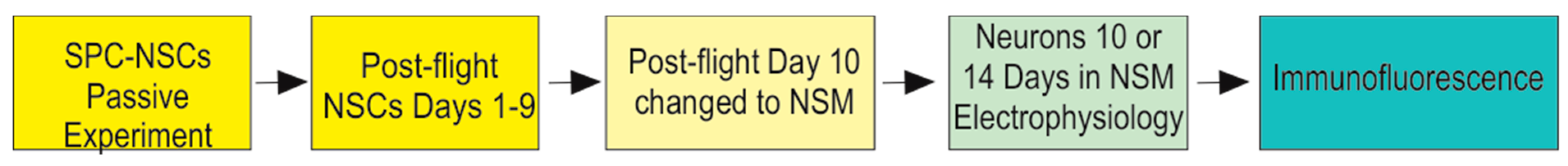 Applsci 09 04042 sch002