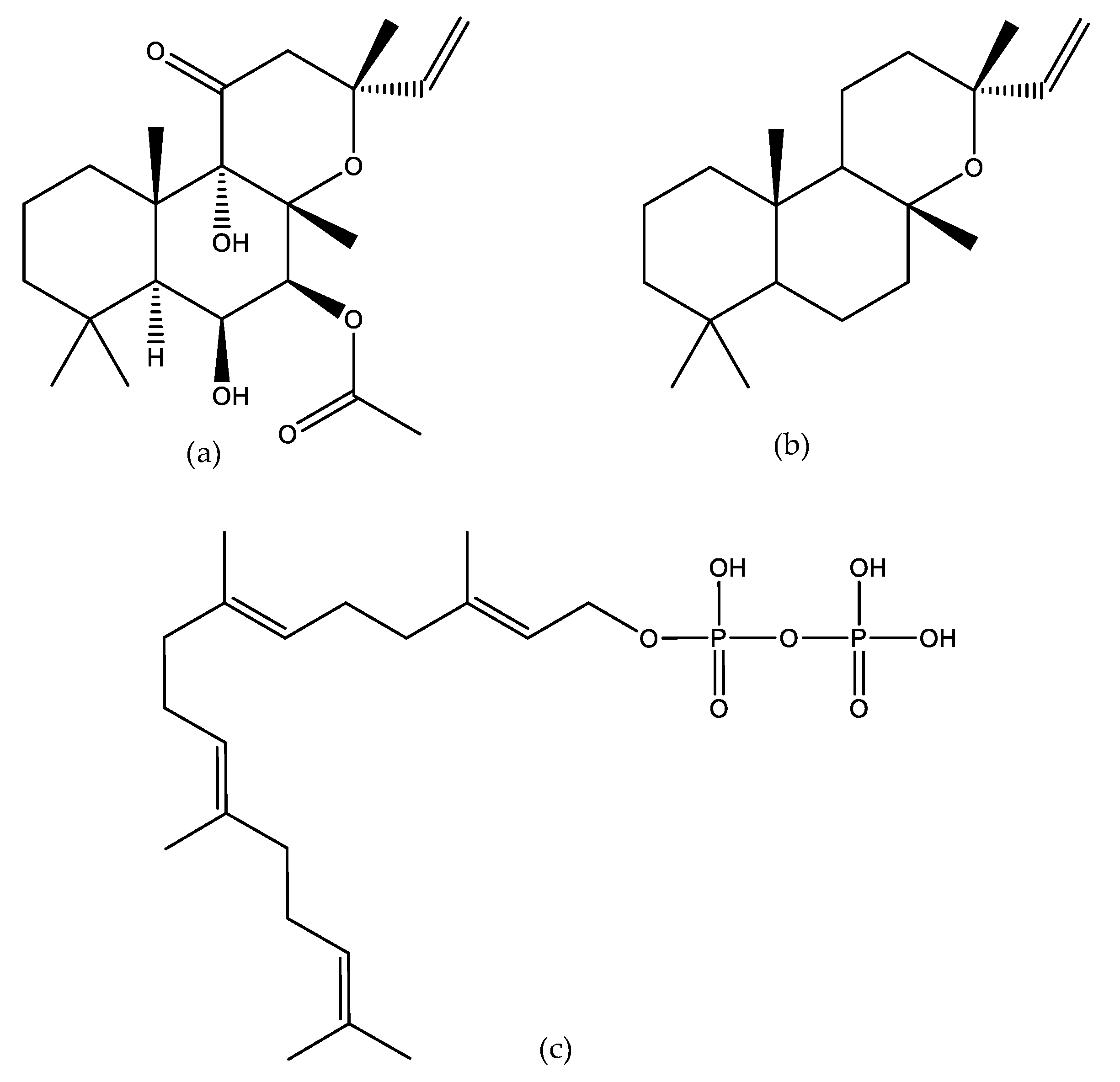 Applsci 09 04089 g001