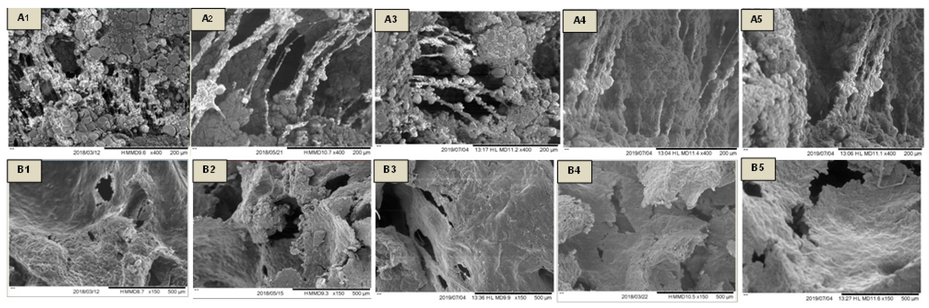 Applsci 09 04101 g005