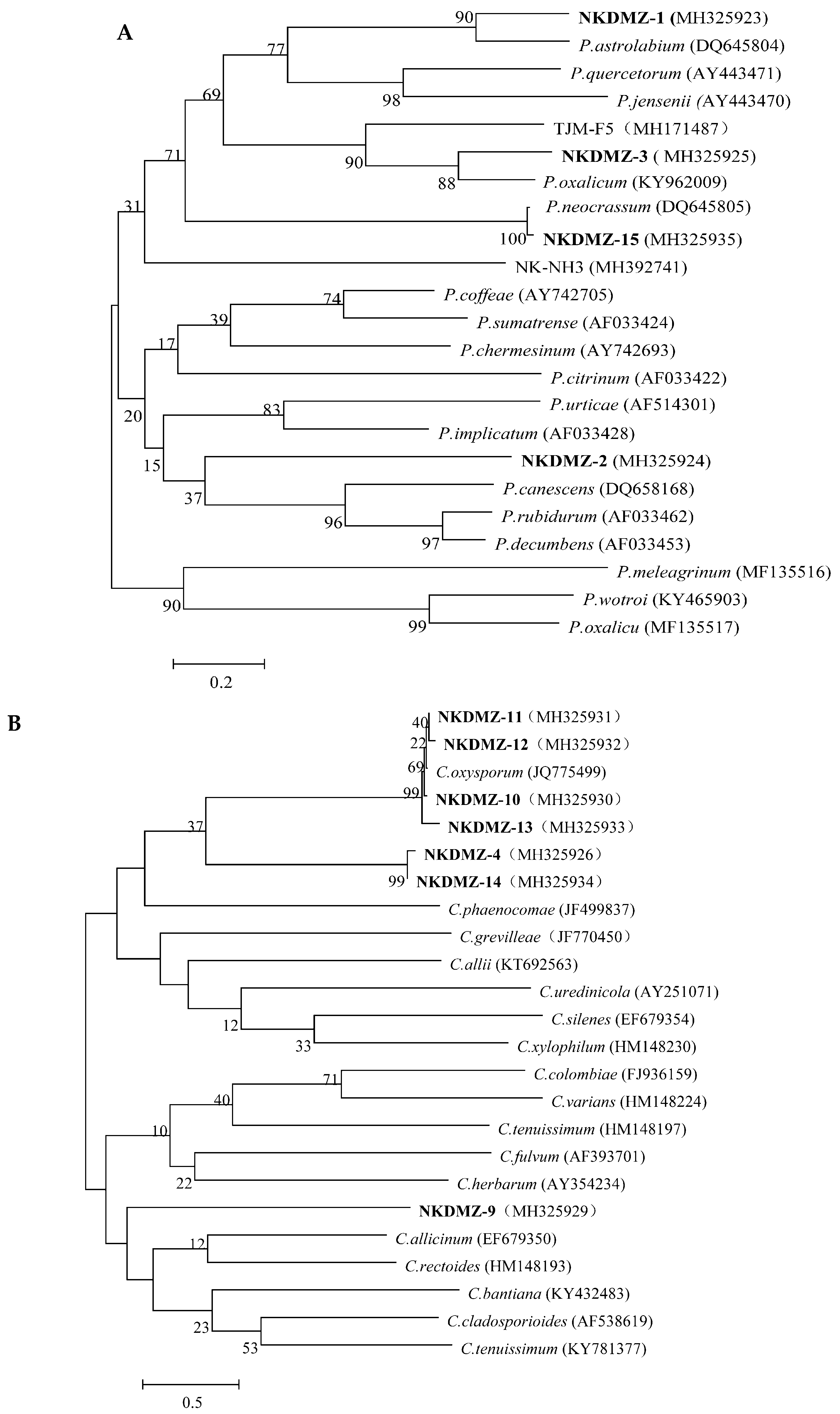 Applsci 09 04129 g003