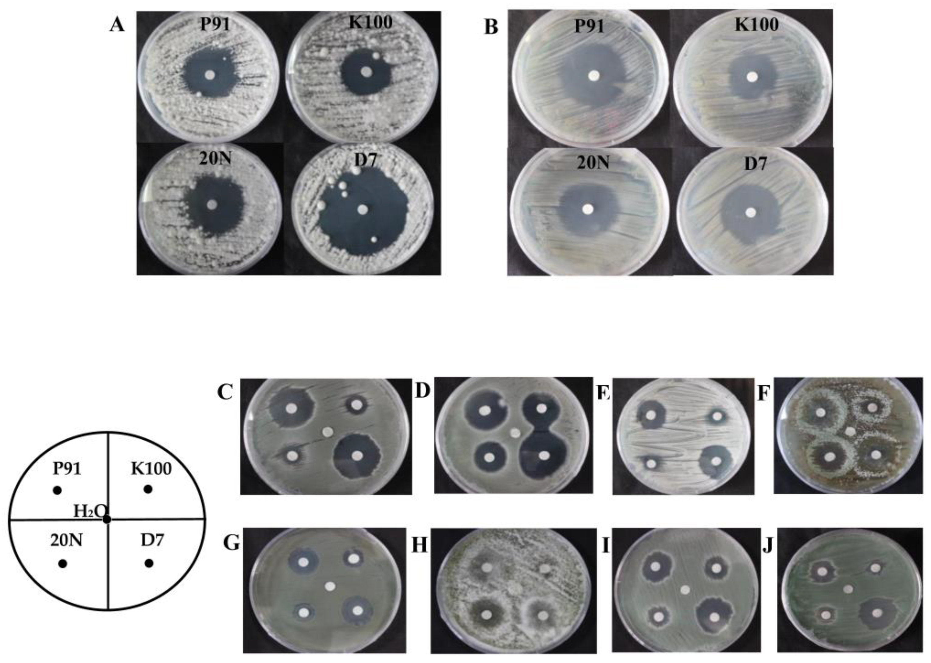 Applsci 09 04129 g005