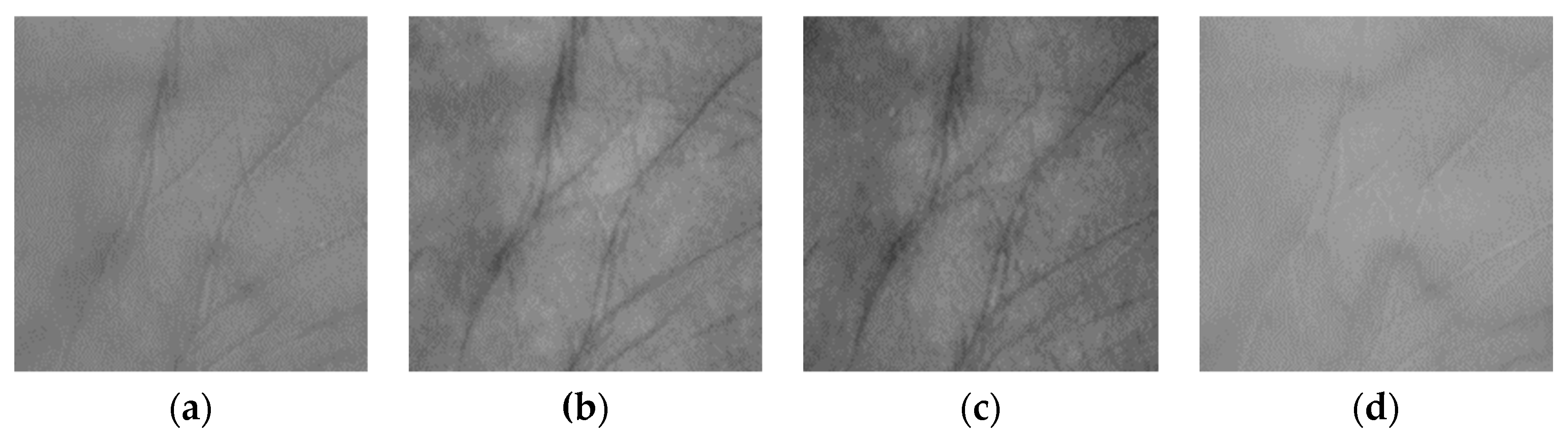 Applsci 09 04178 g008