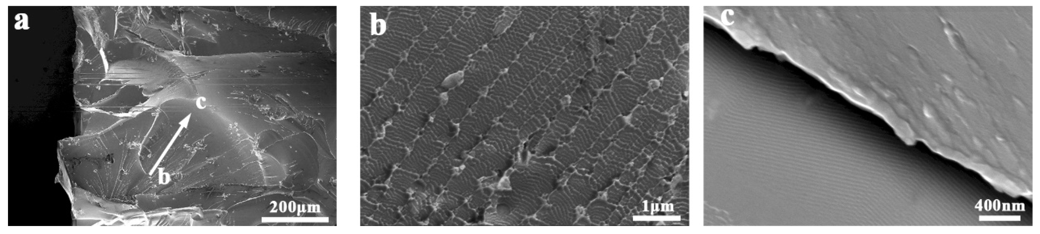 Applsci 09 04277 g003 Applsci 09 04277 g003