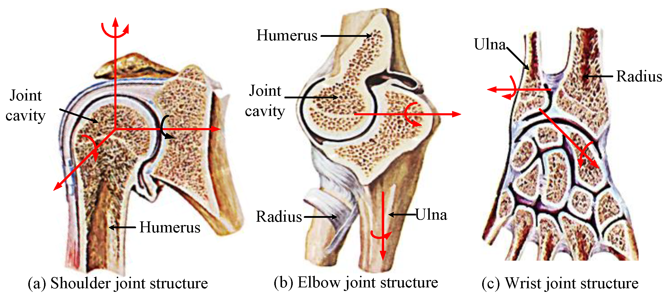 Applsci 09 04294 g002