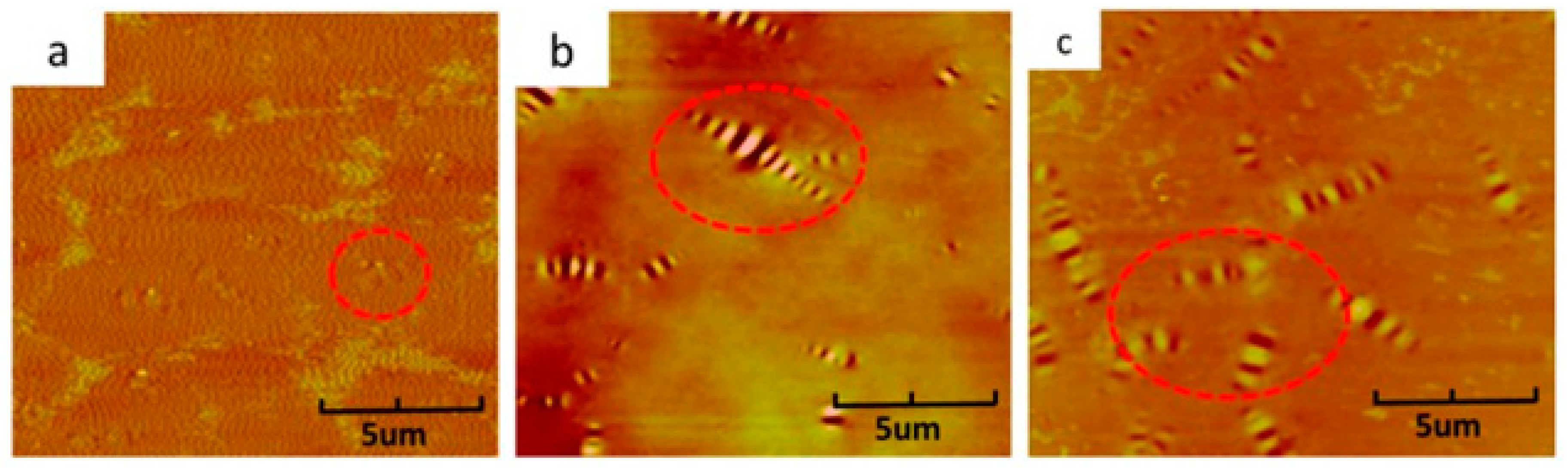 Applsci 09 04316 g017