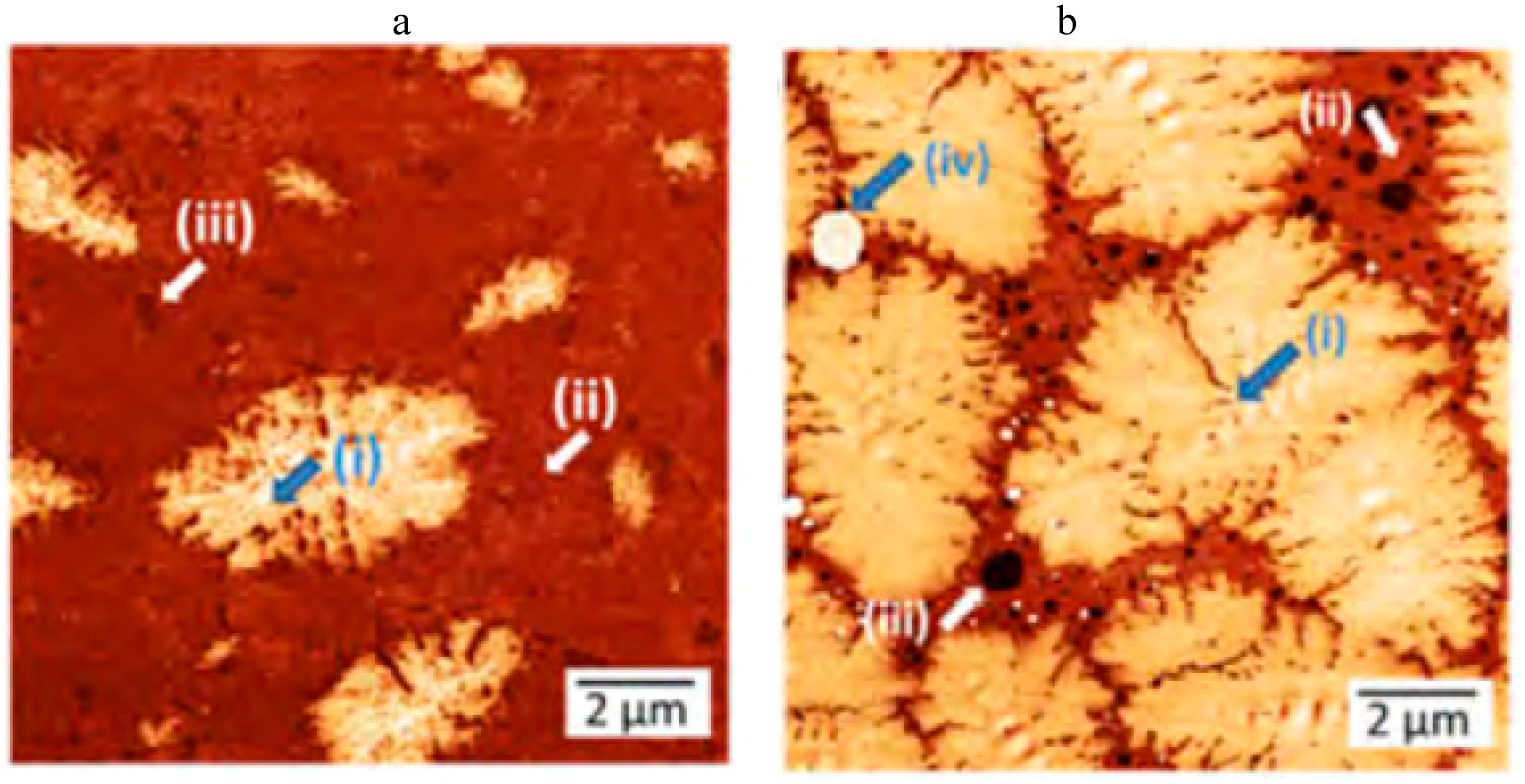 Applsci 09 04316 g021