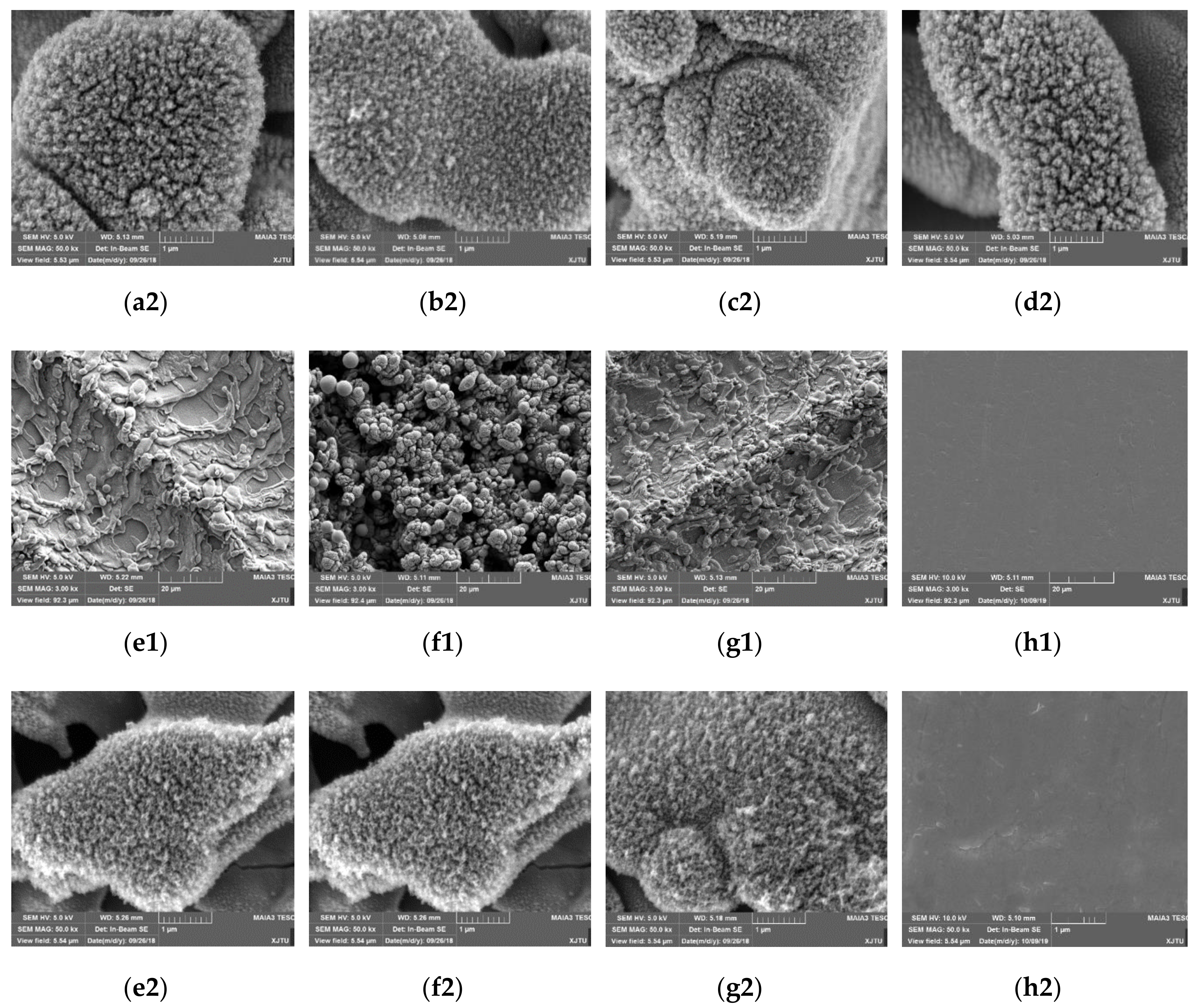 Applsci 09 04374 g003b