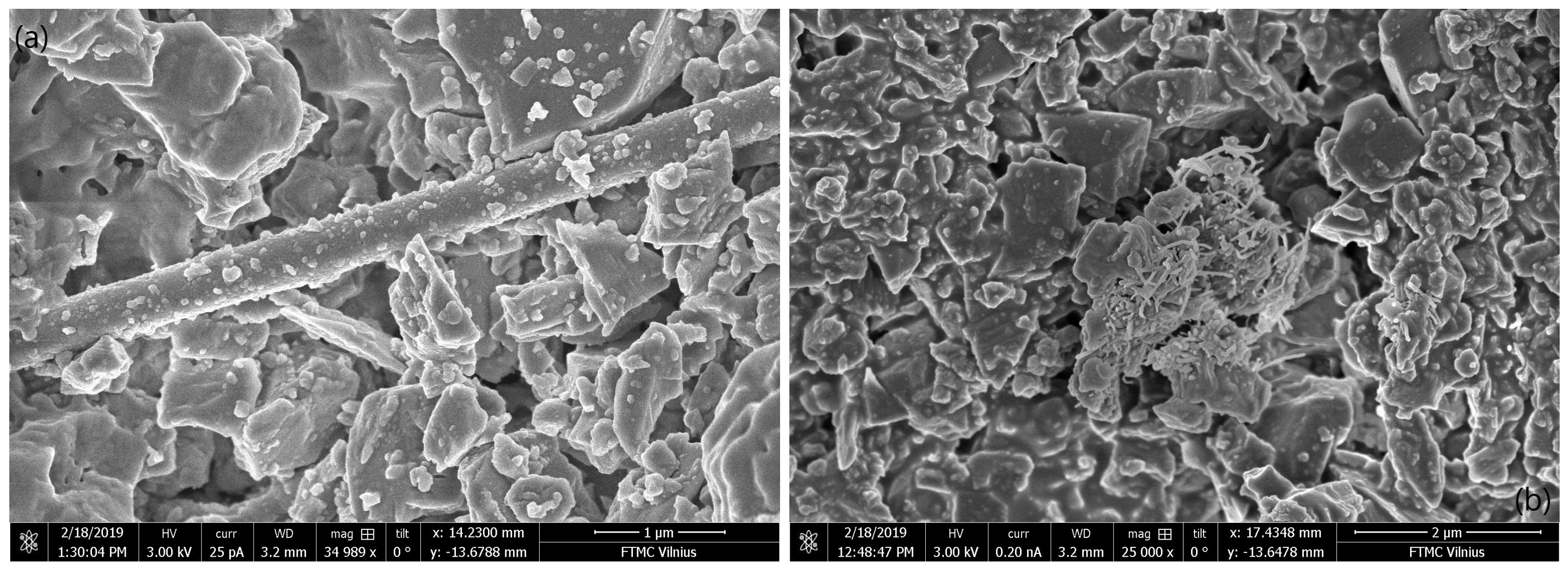 Applsci 09 04388 g001