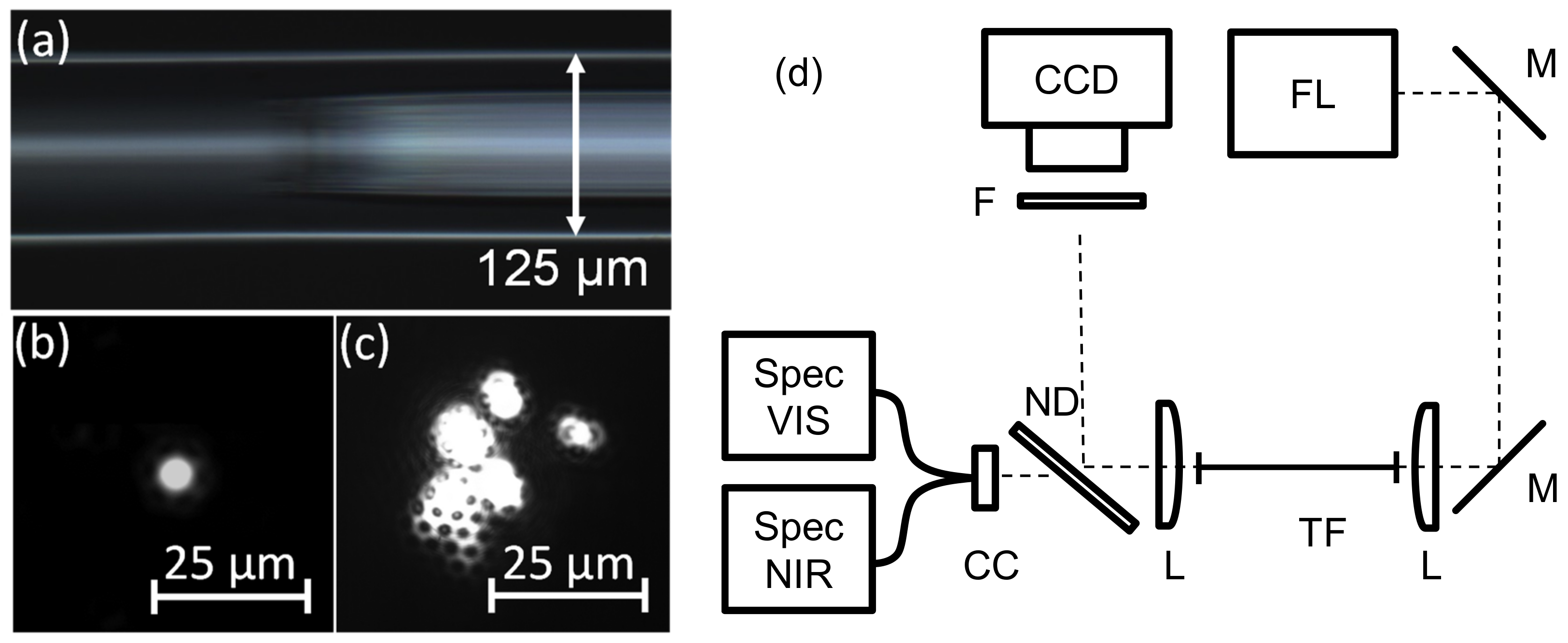 Applsci 09 04428 g002