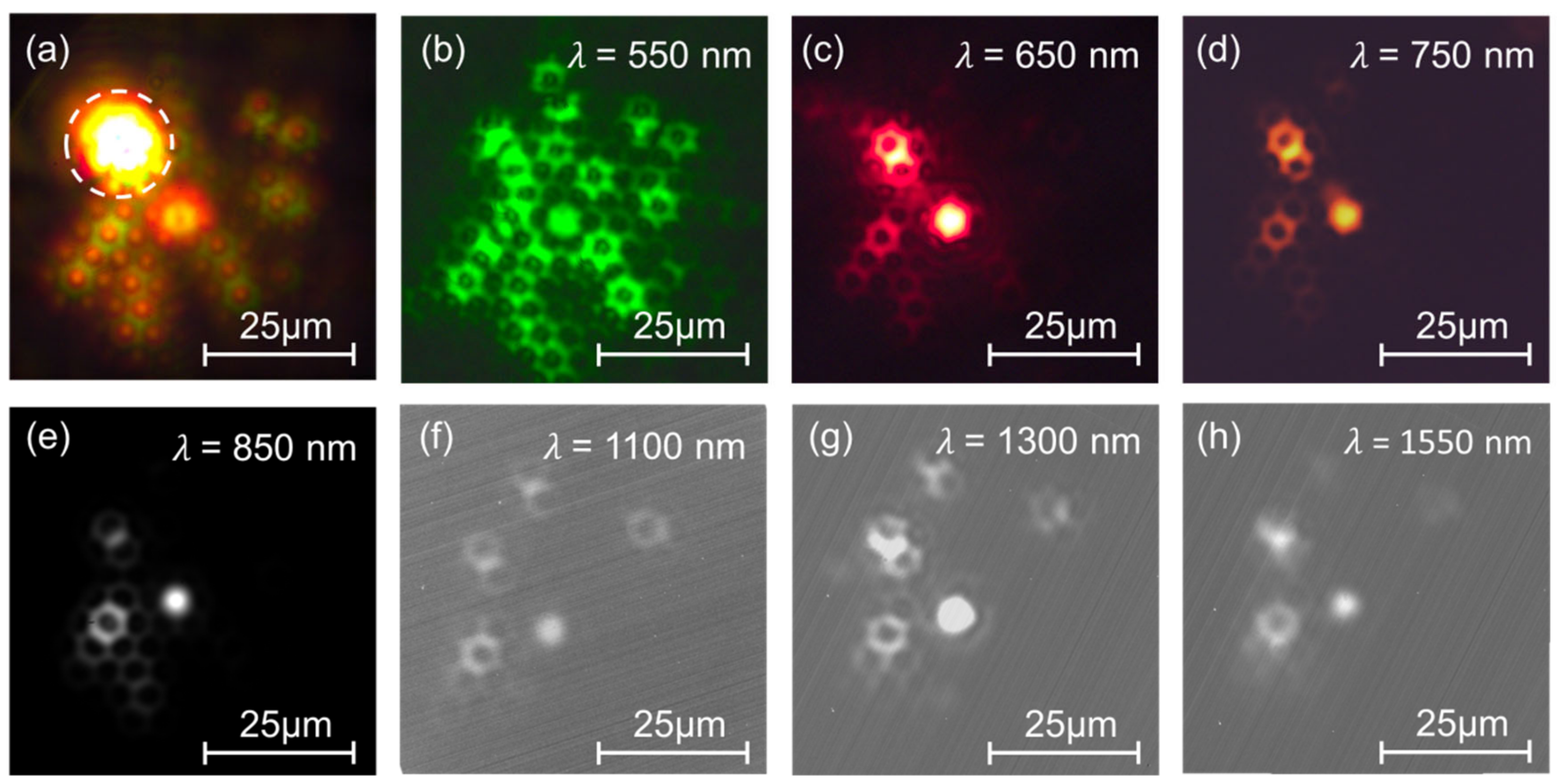 Applsci 09 04428 g006