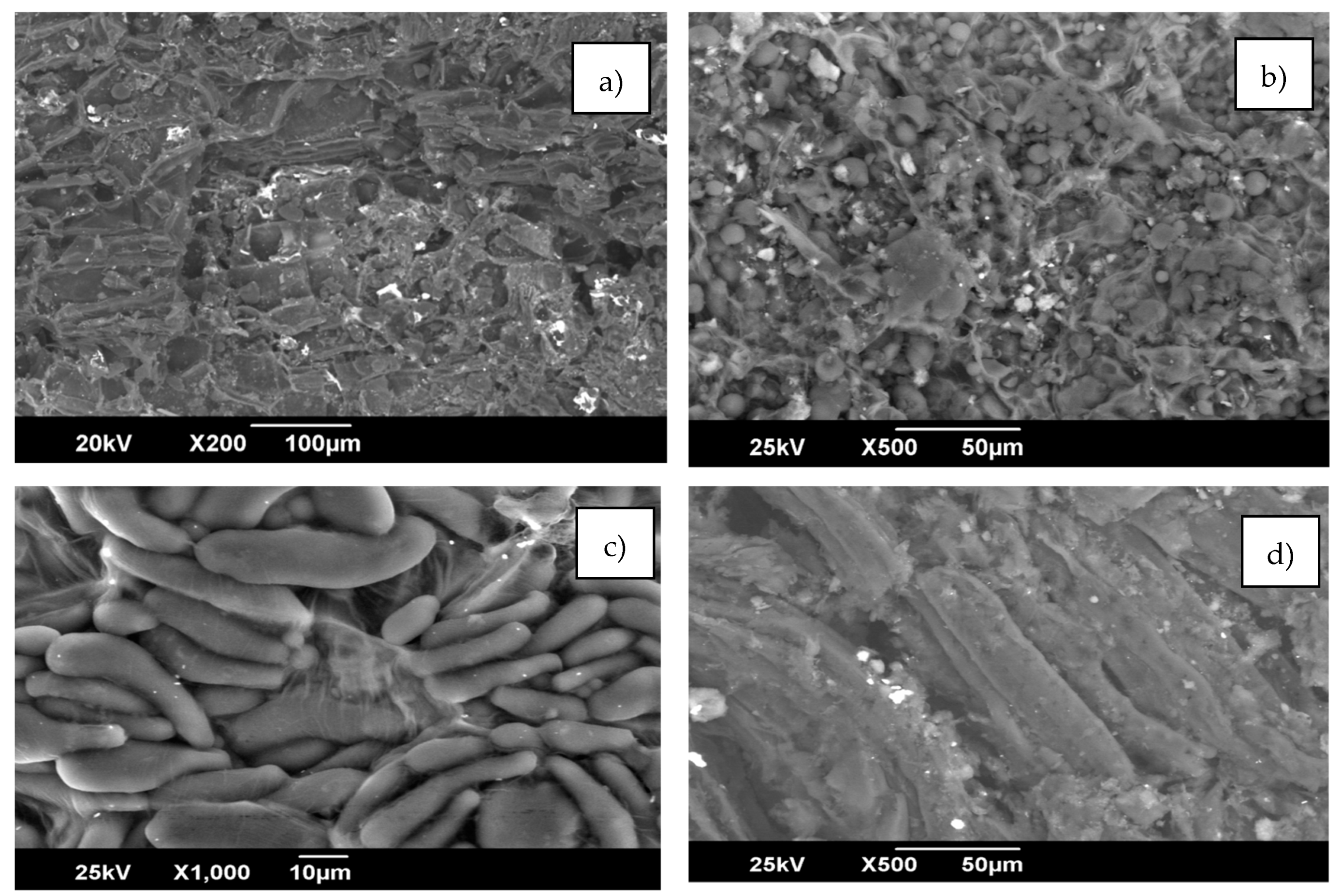 Applsci 09 04486 g004