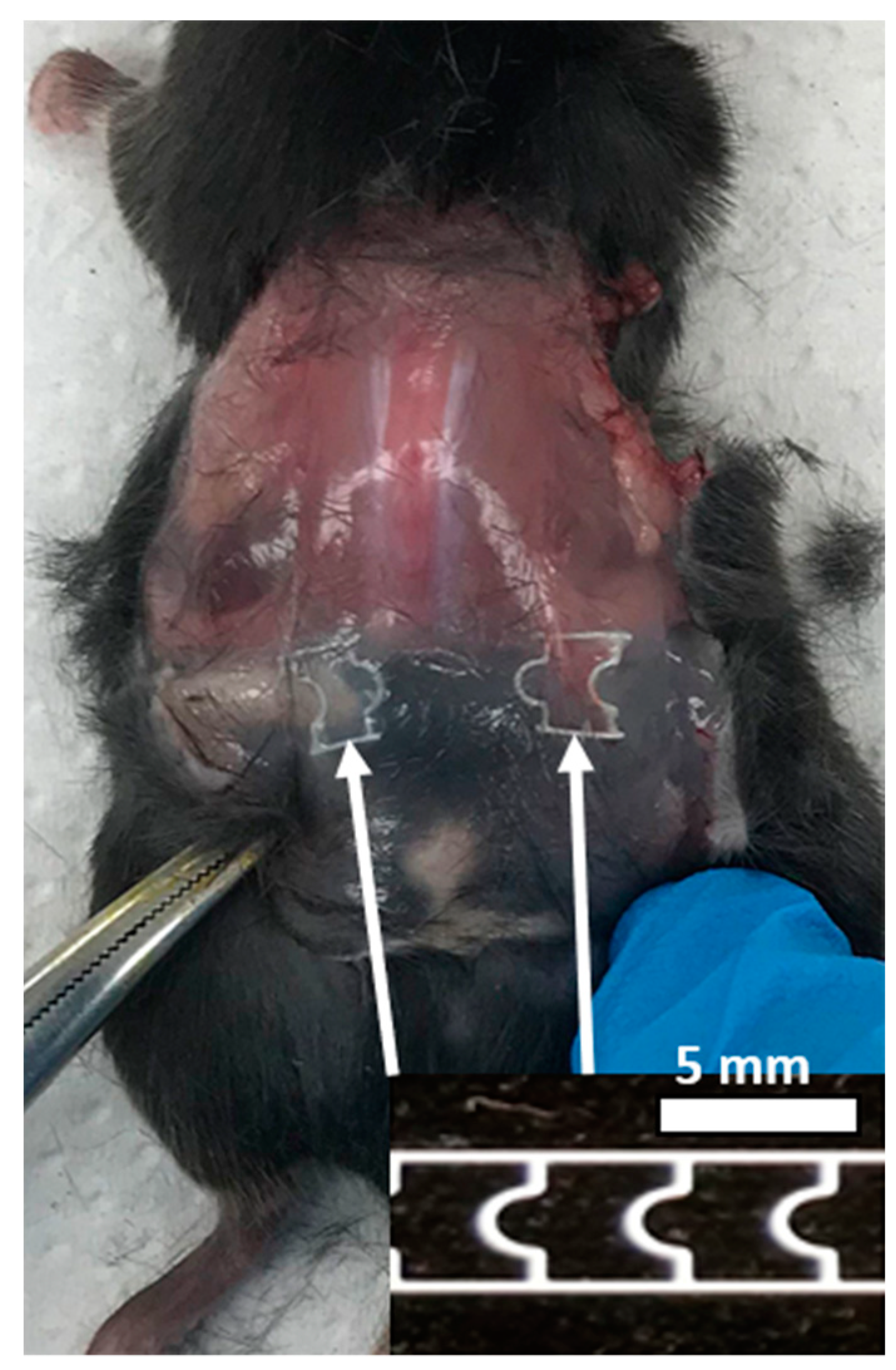 Applsci 09 04503 g007 Applsci 09 04503 g007