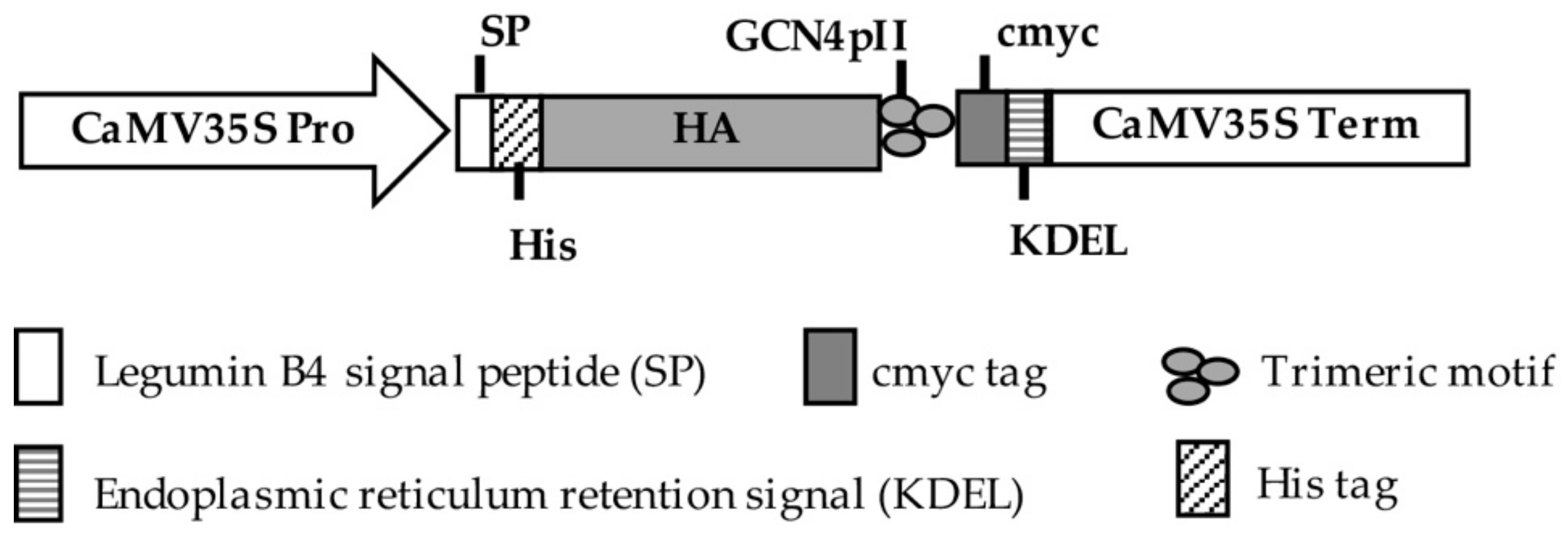 Applsci 09 04605 g002