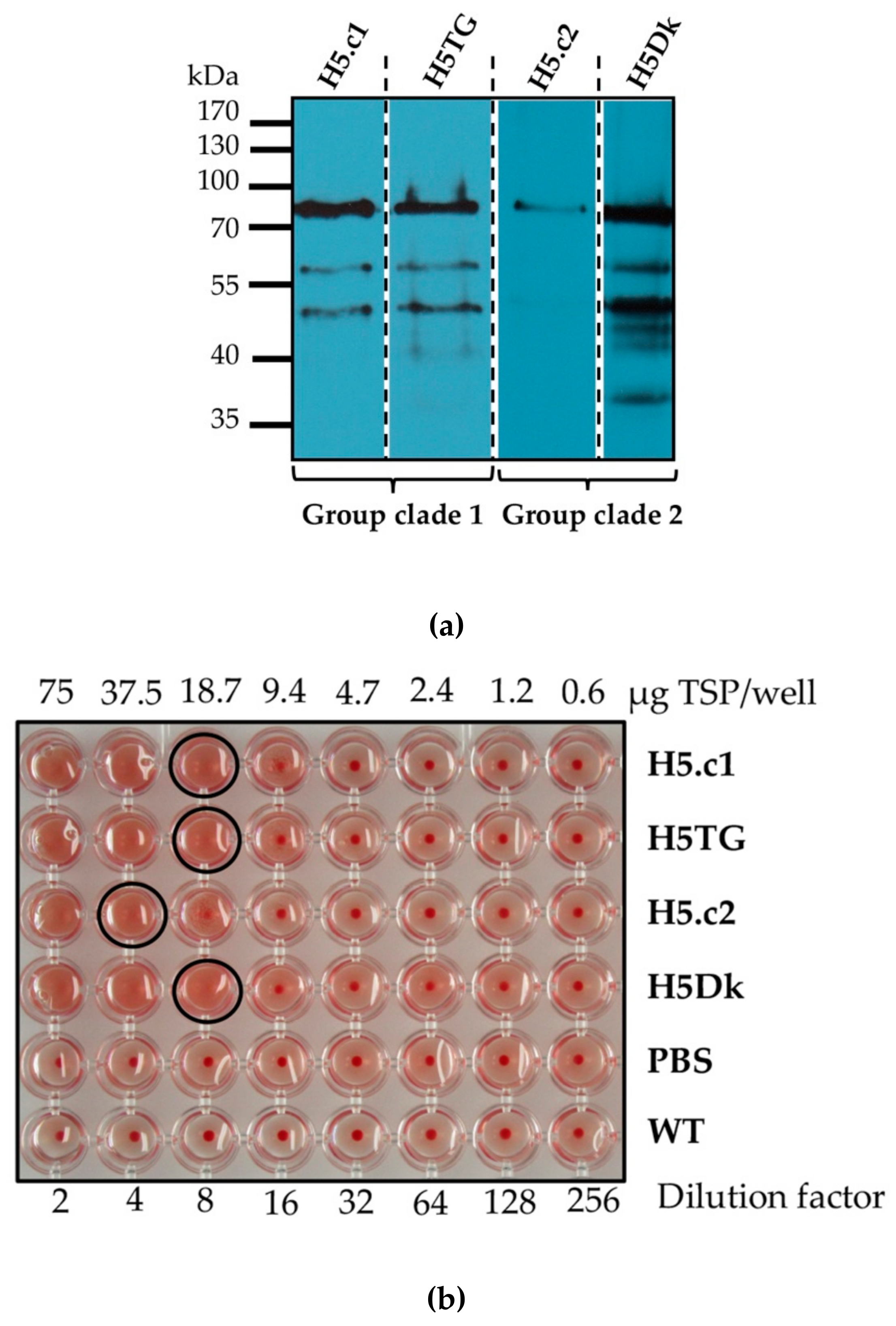 Applsci 09 04605 g003