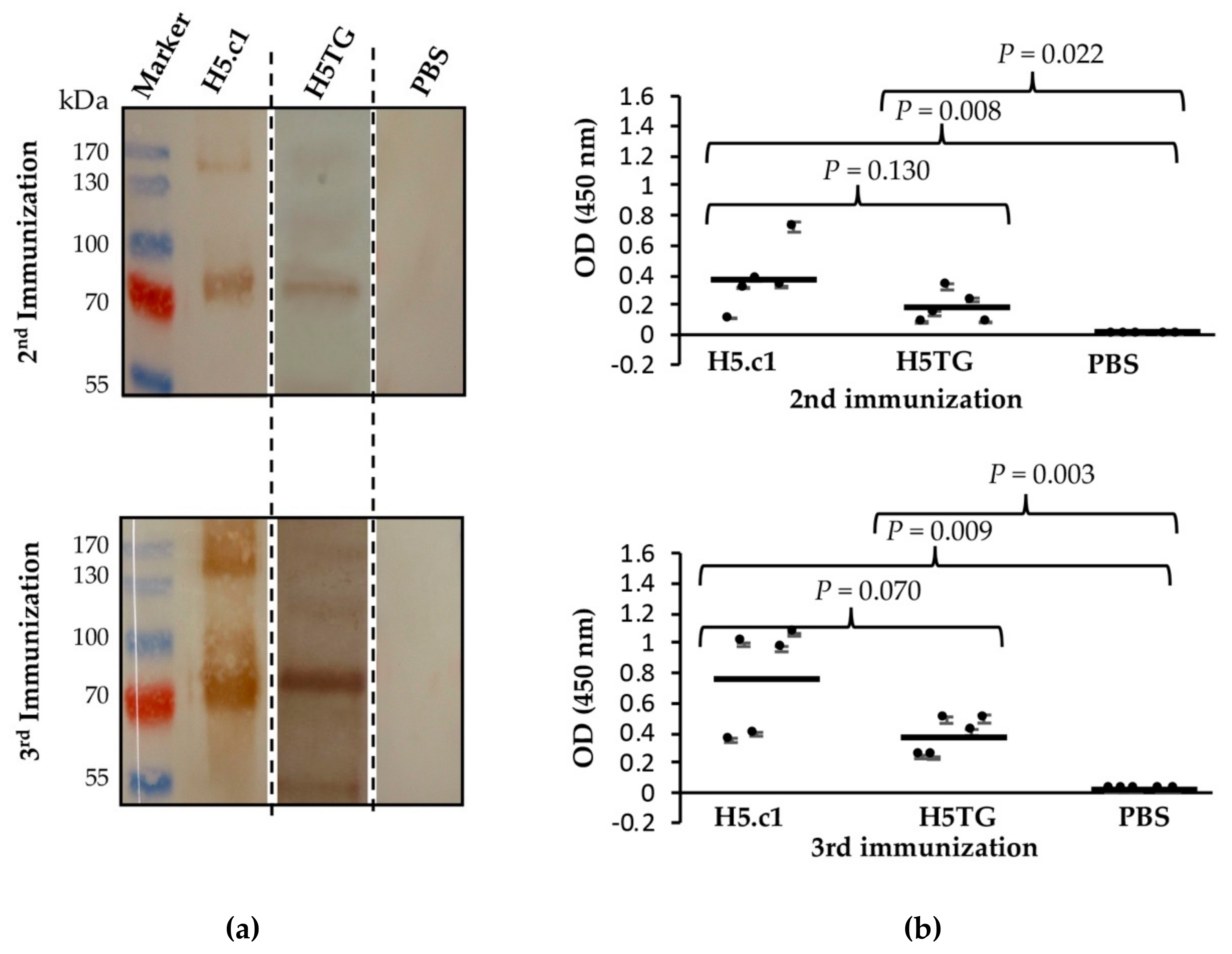 Applsci 09 04605 g006