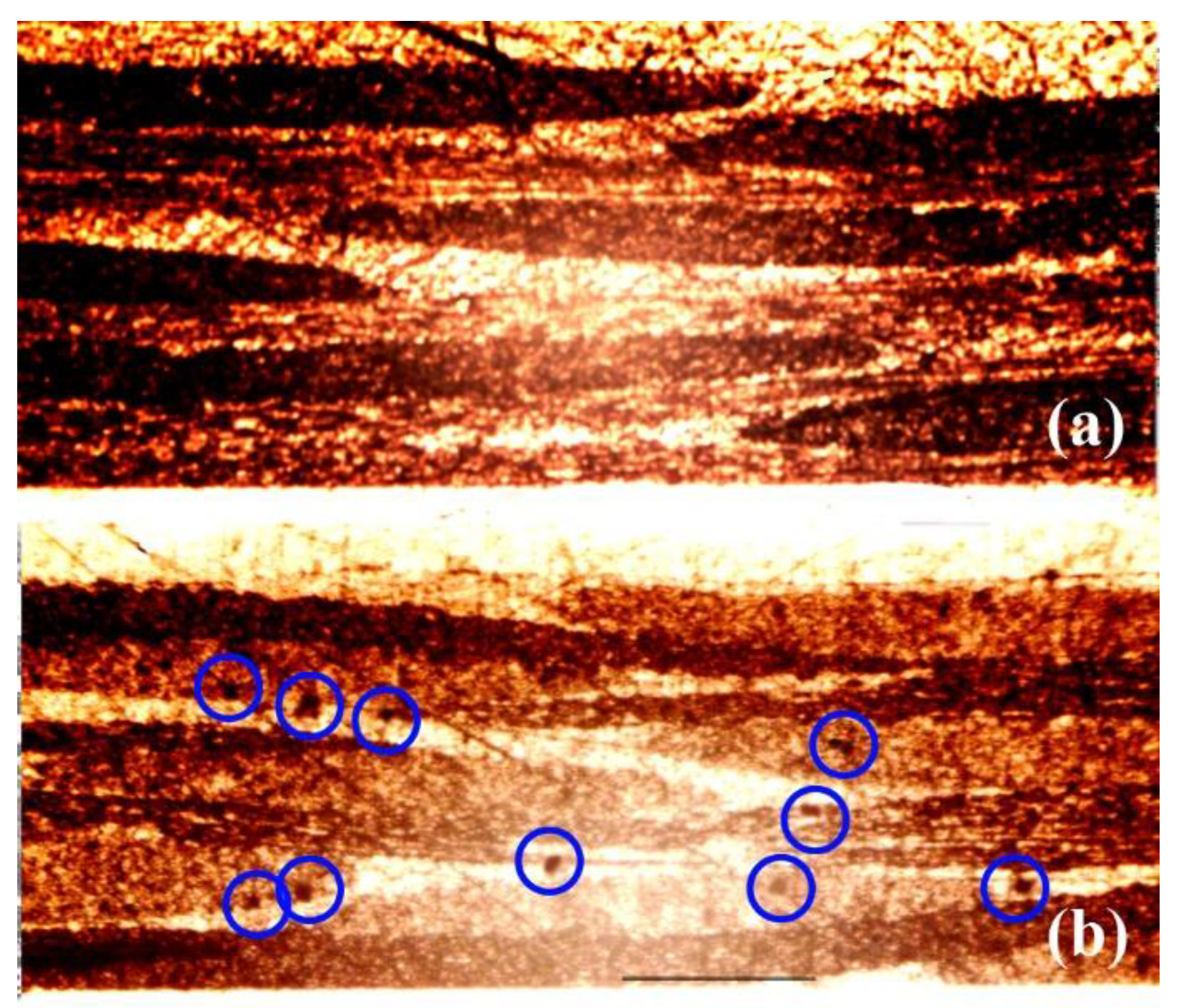 Applsci 09 04615 g002 Applsci 09 04615 g002