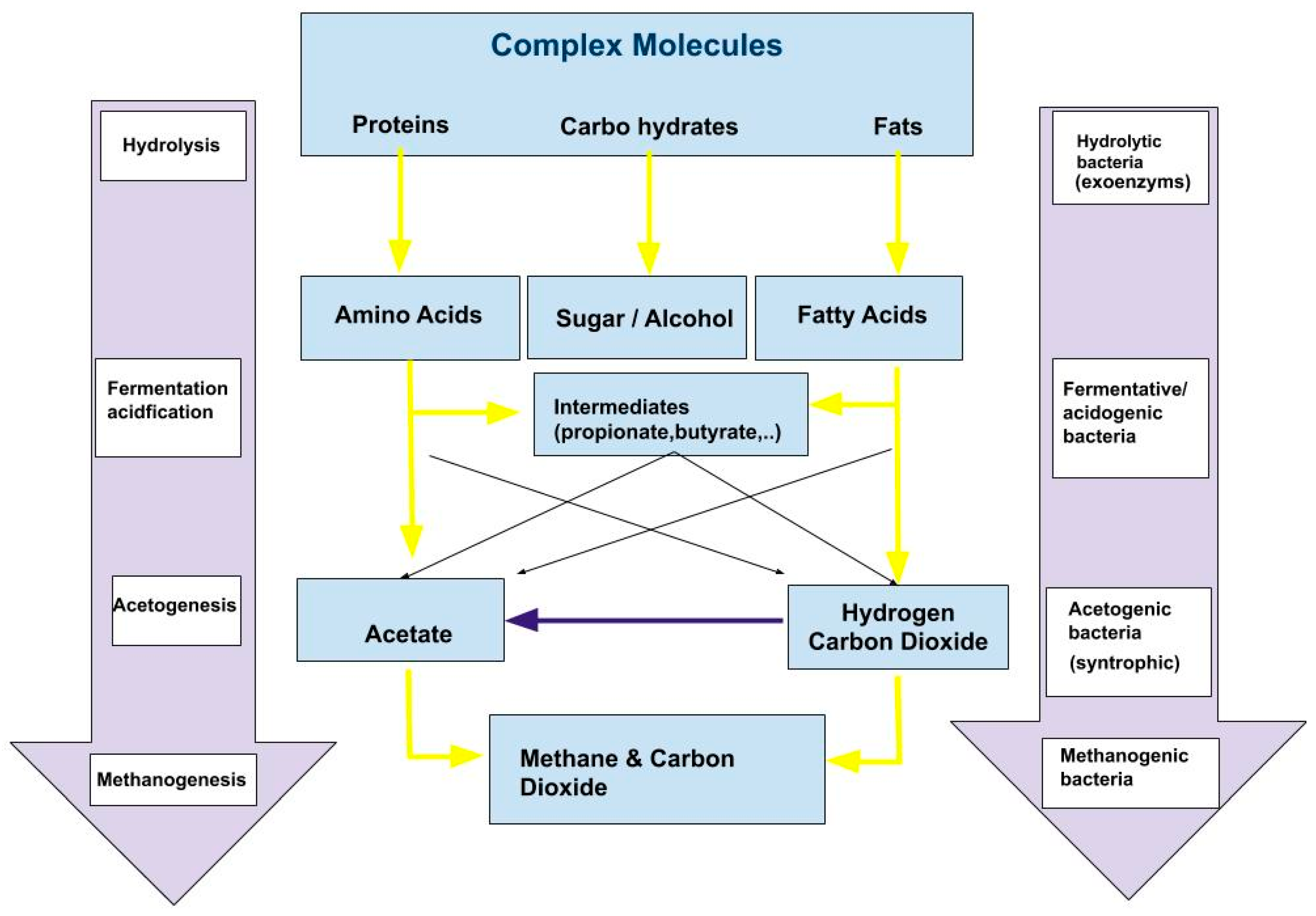 Applsci 09 04655 g001 Applsci 09 04655 g001