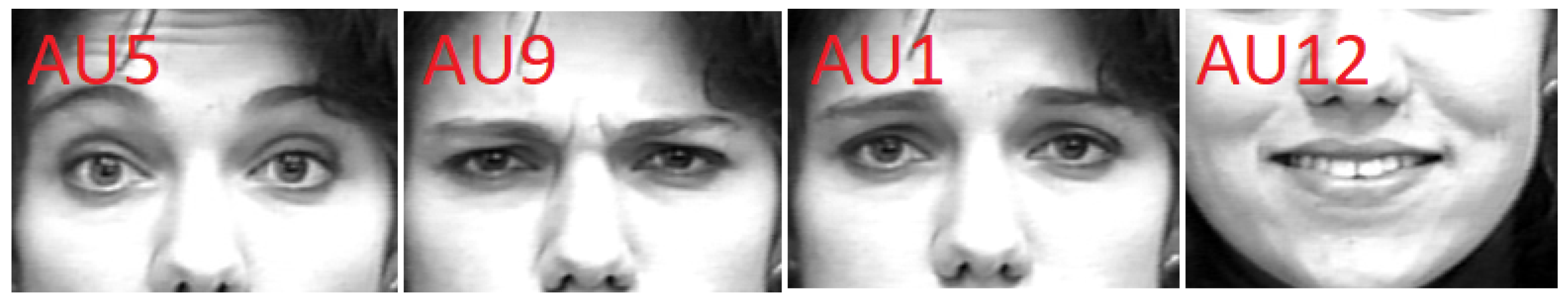 Applsci 09 04678 g016