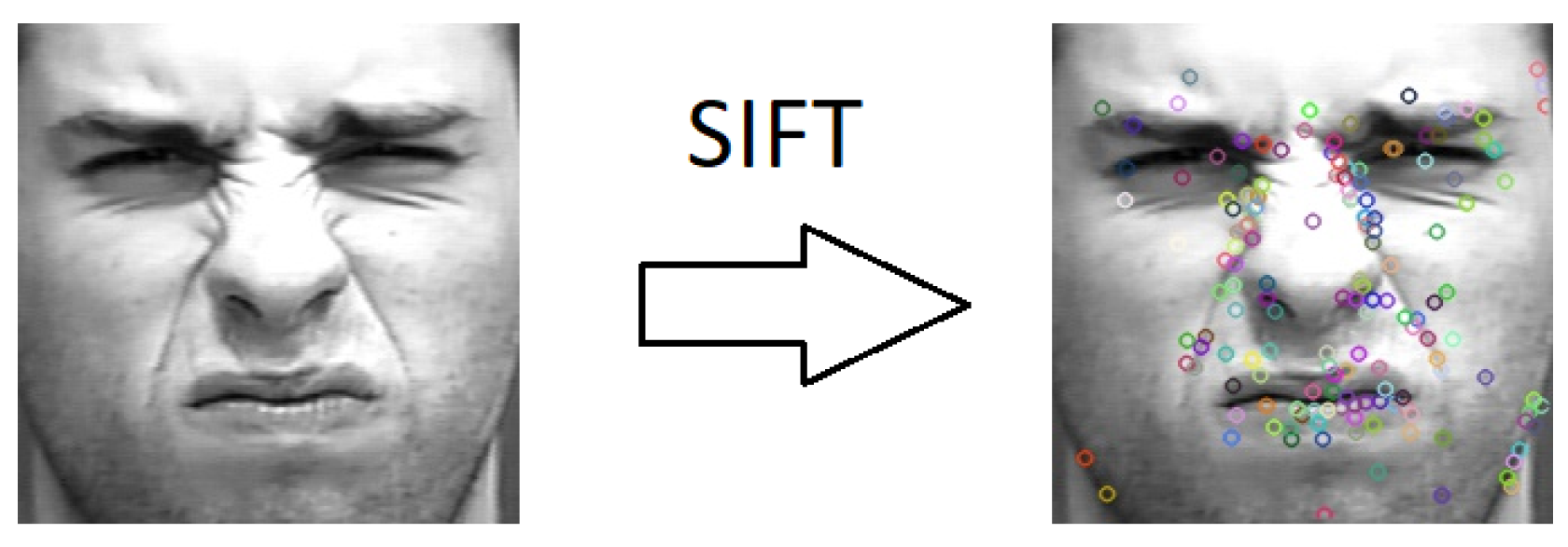 Applsci 09 04678 g019