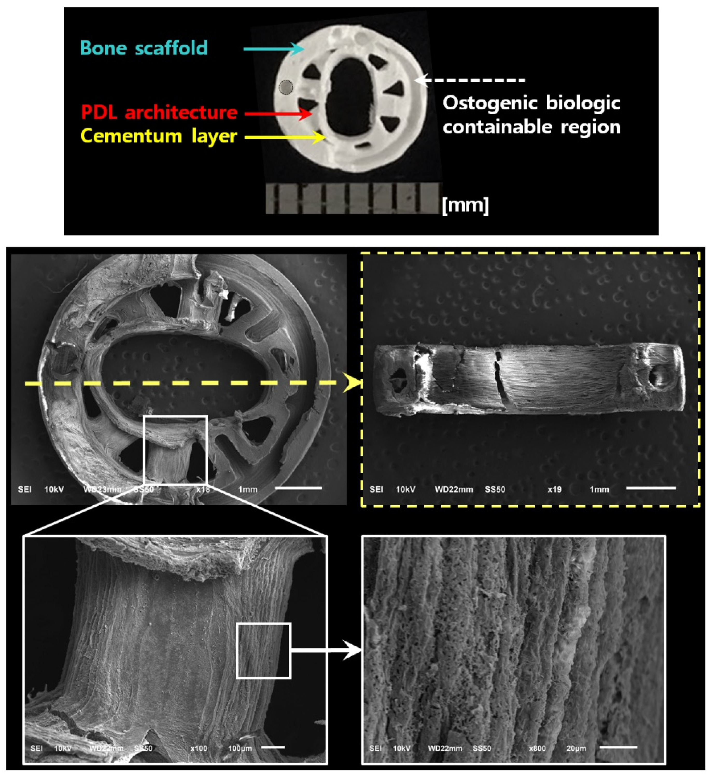 Applsci 09 04687 g003 Applsci 09 04687 g003