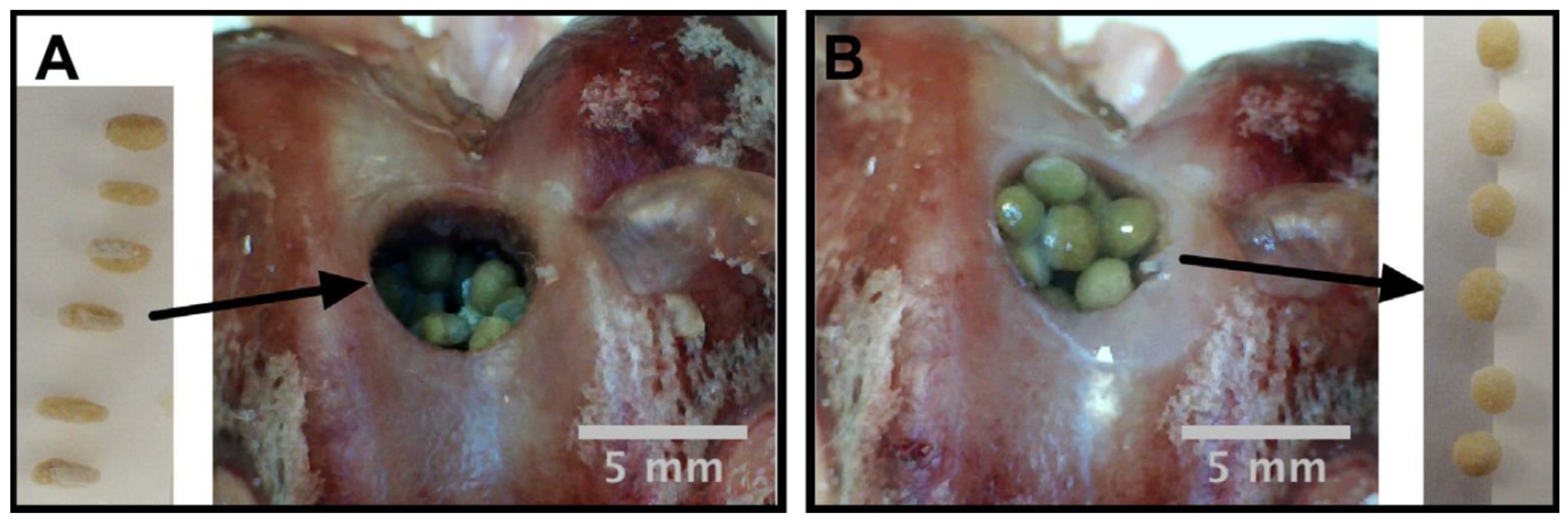 Applsci 09 04694 g006