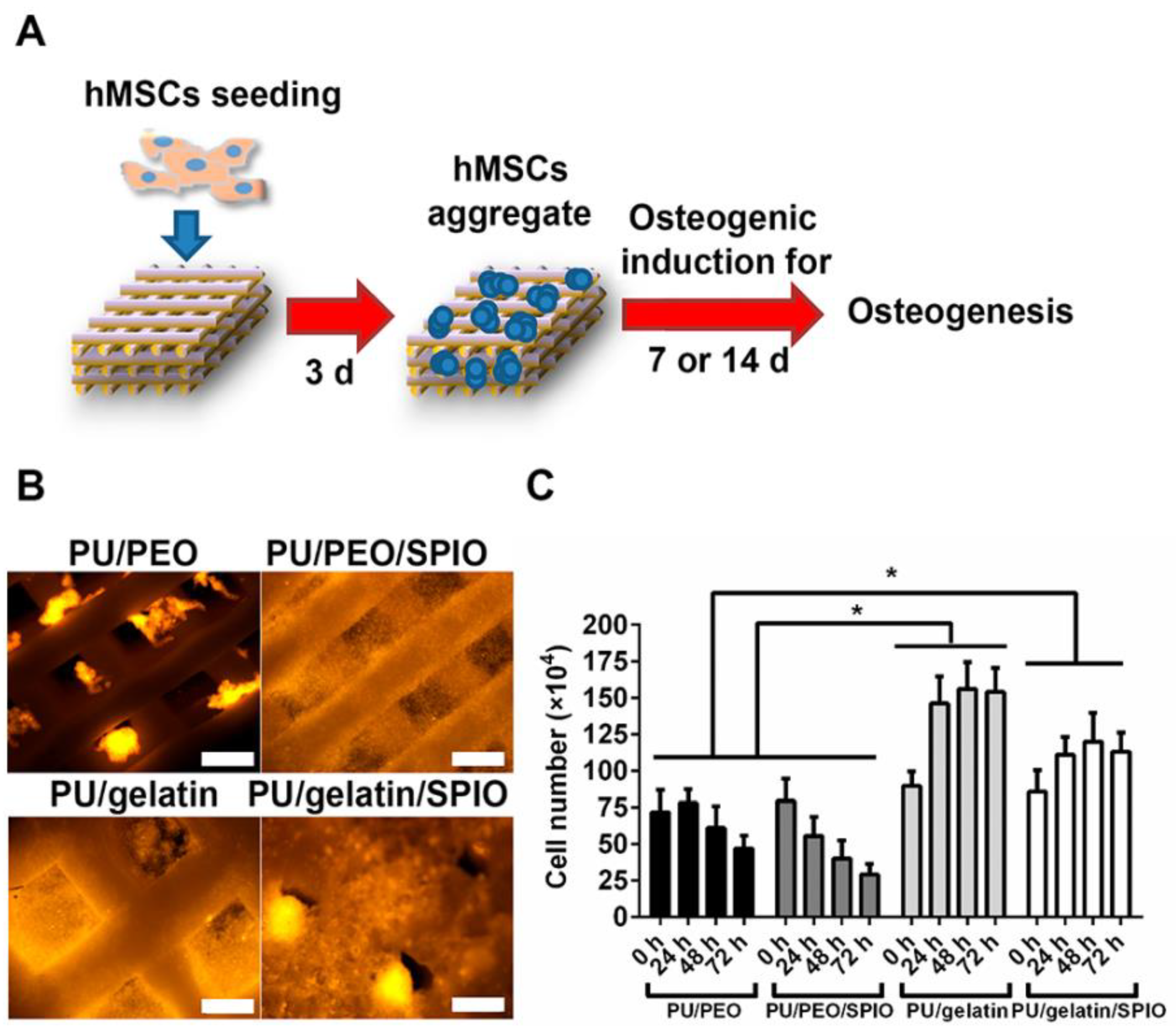 Applsci 09 04694 g007