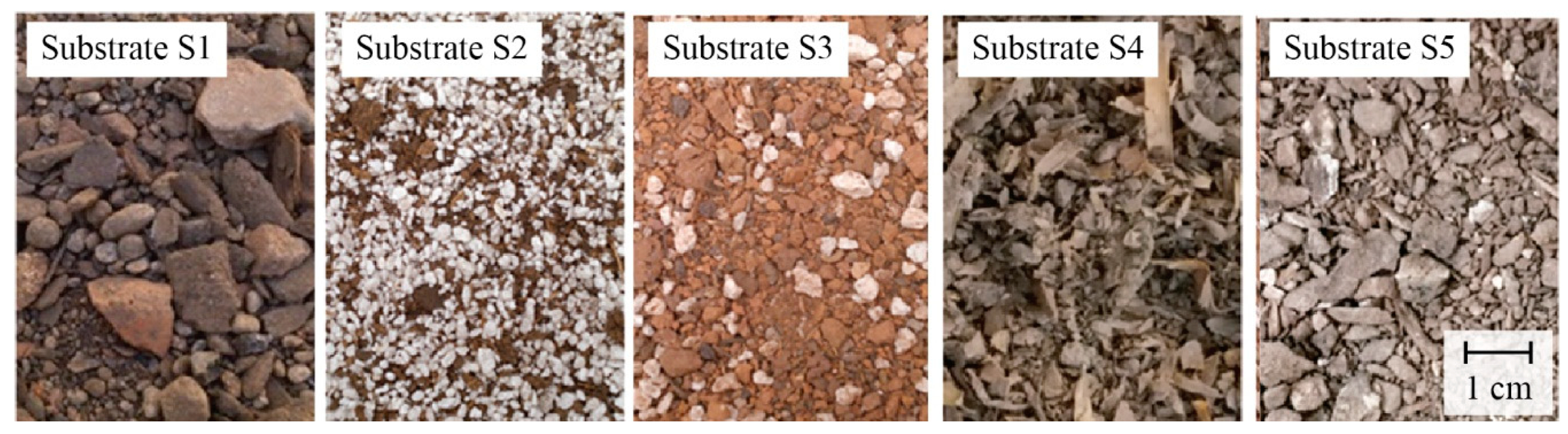 Applsci 09 04697 g001 Applsci 09 04697 g001