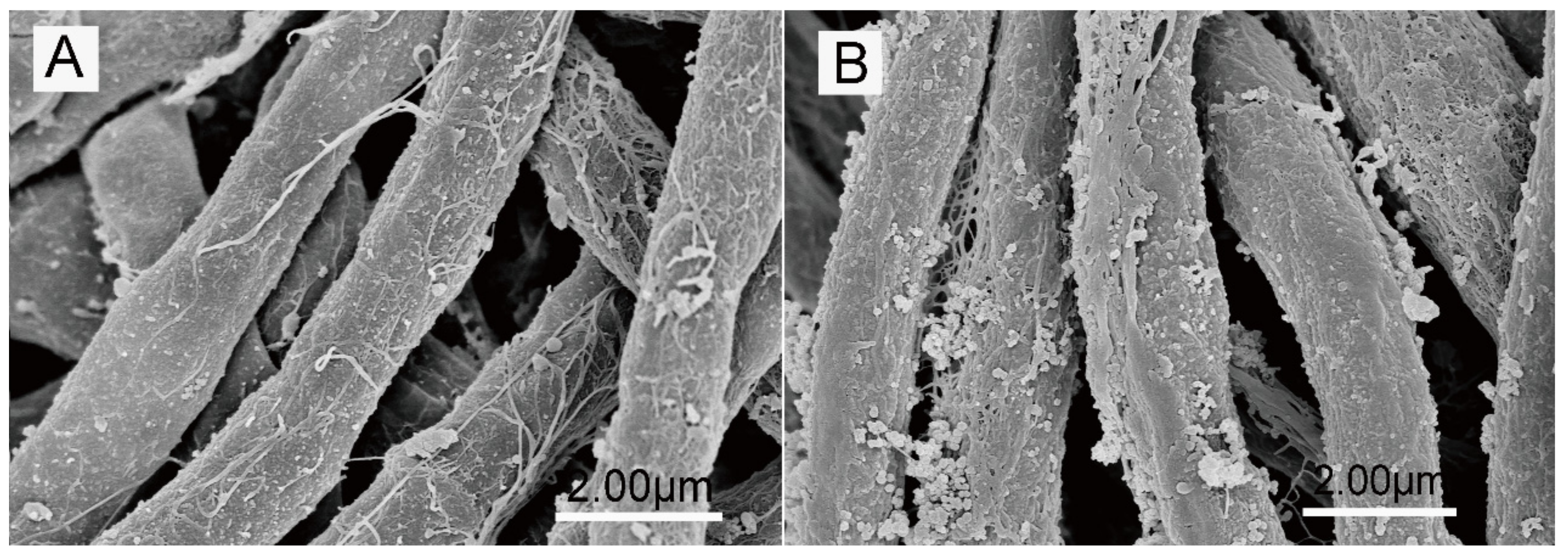 Applsci 09 04706 g001 Applsci 09 04706 g001