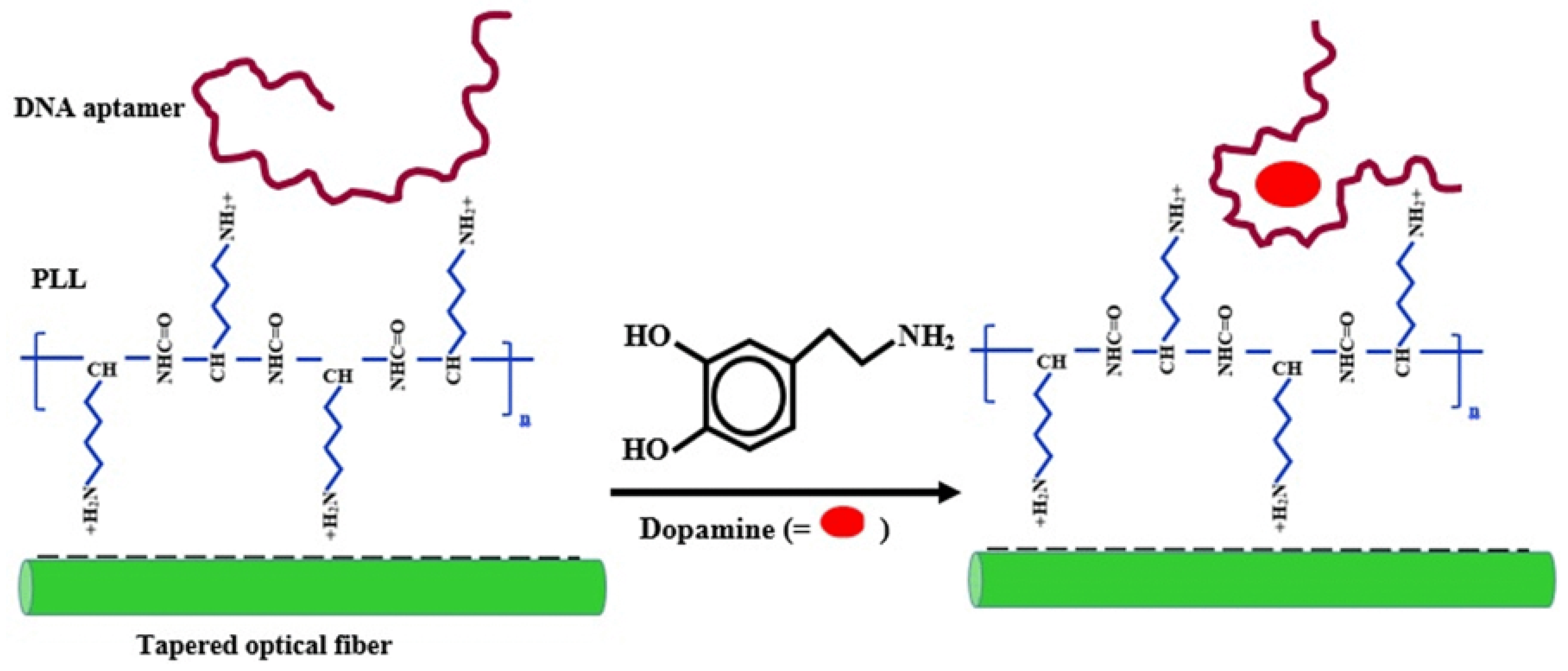 Applsci 09 04719 g002