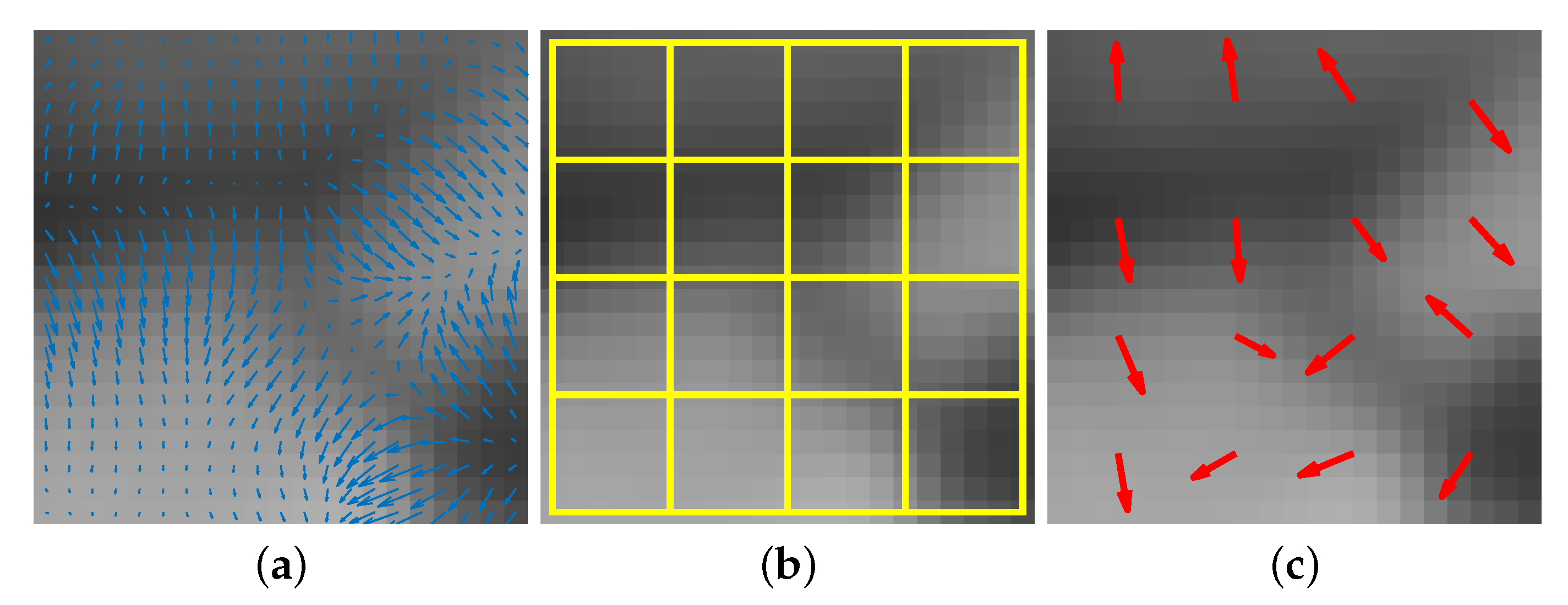 Applsci 09 04792 g005