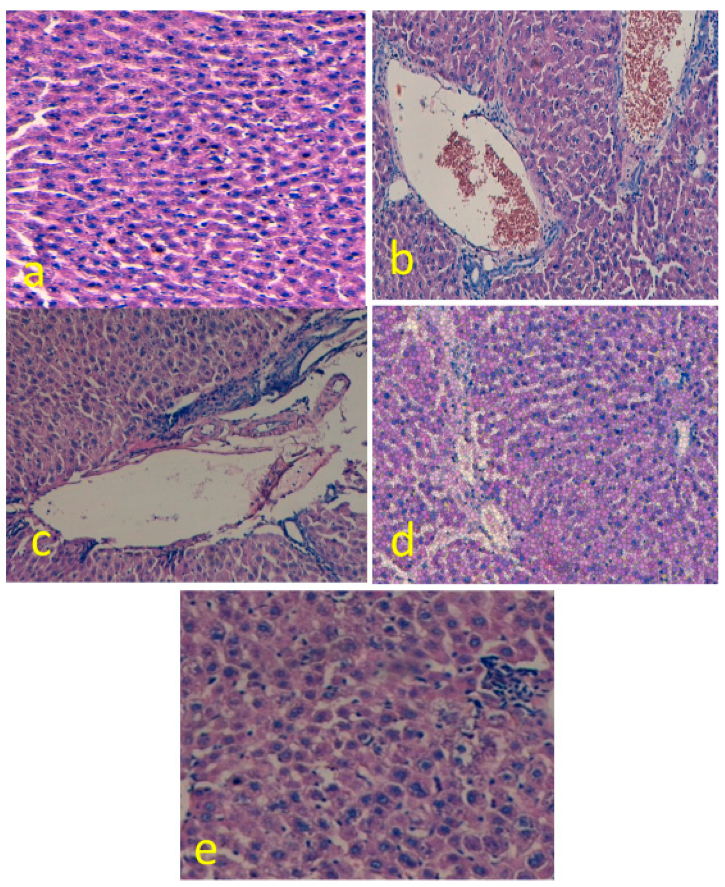 Applsci 09 04821 g004