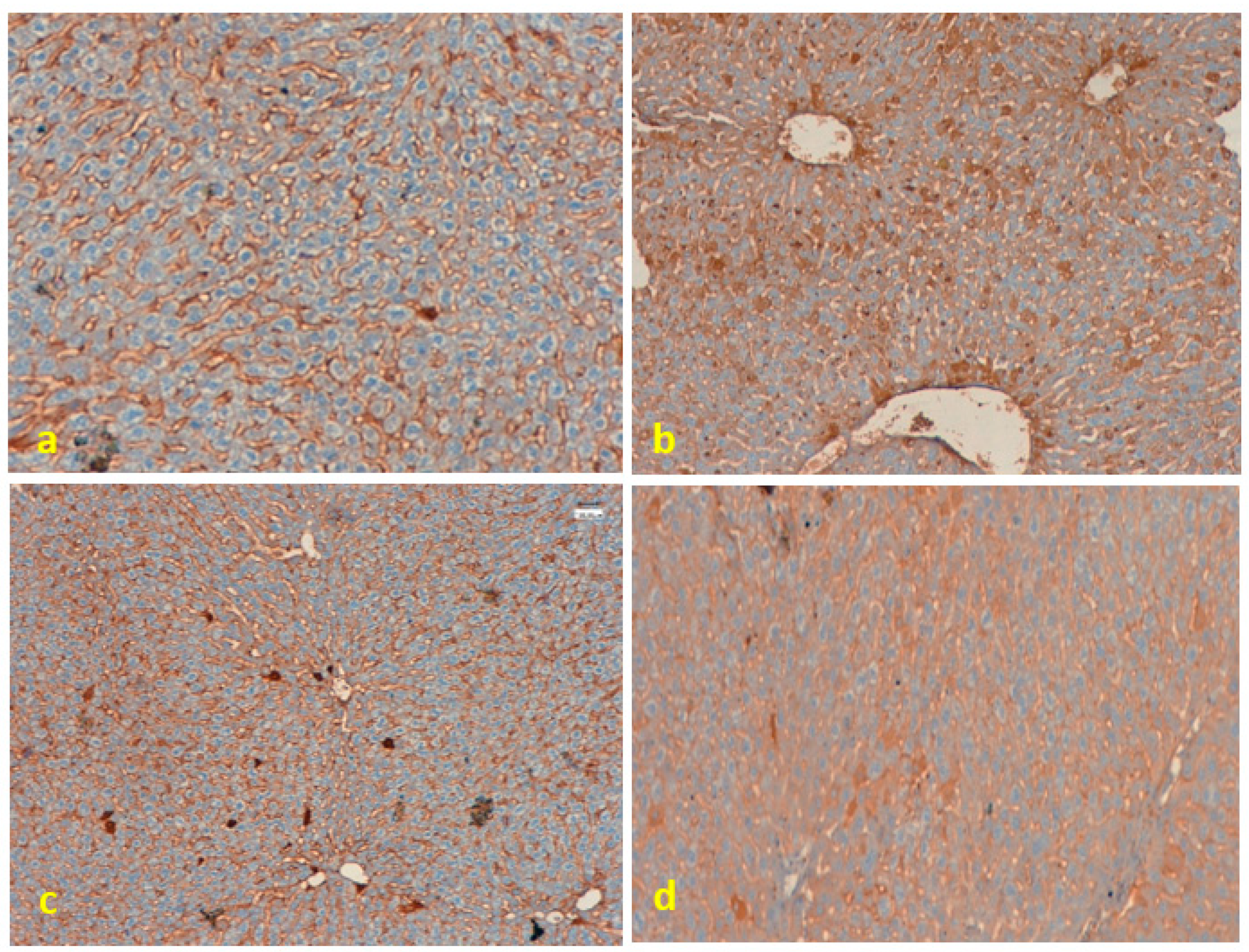 Applsci 09 04821 g005